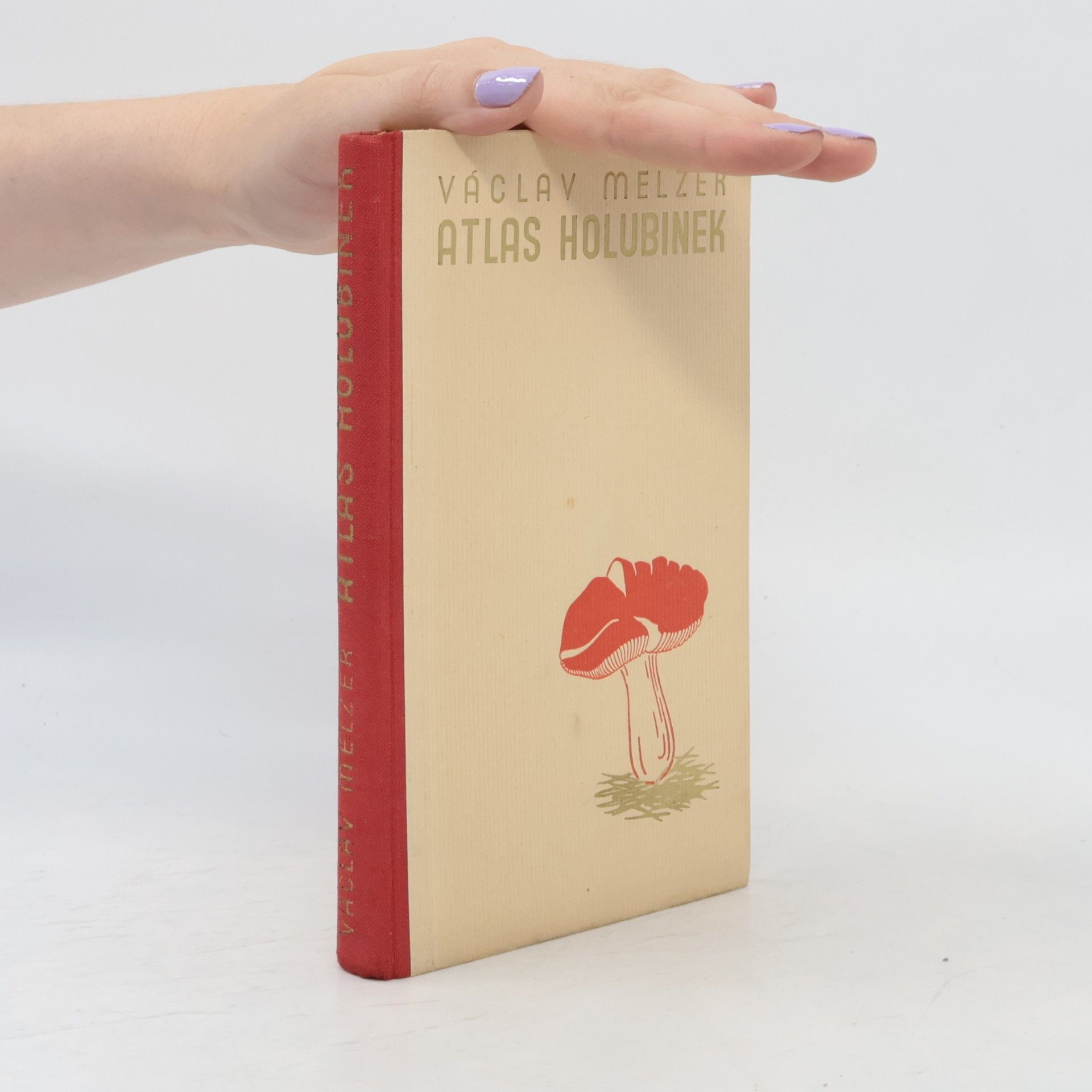 V. Melzer Atlas holubinek