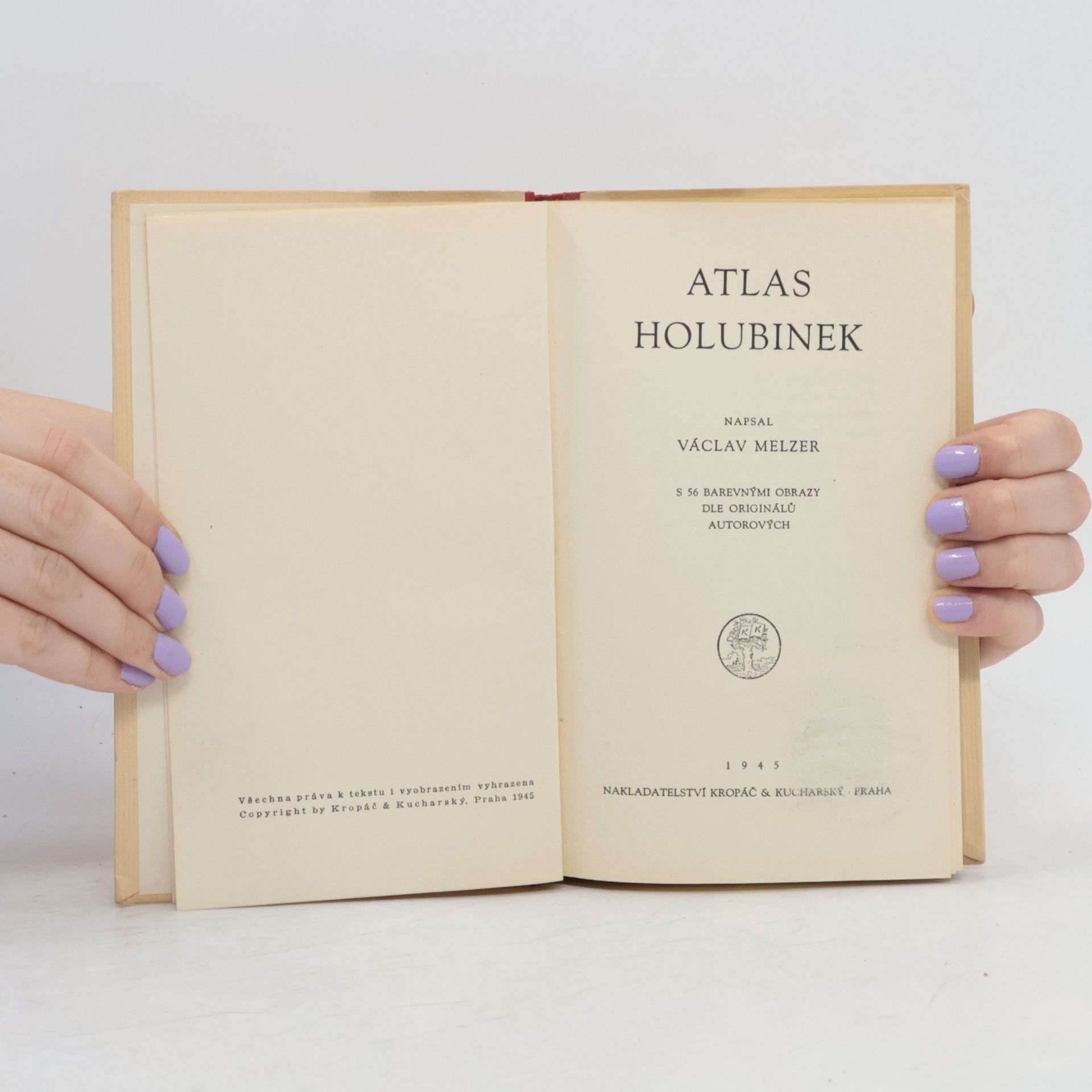 V. Melzer Atlas holubinek