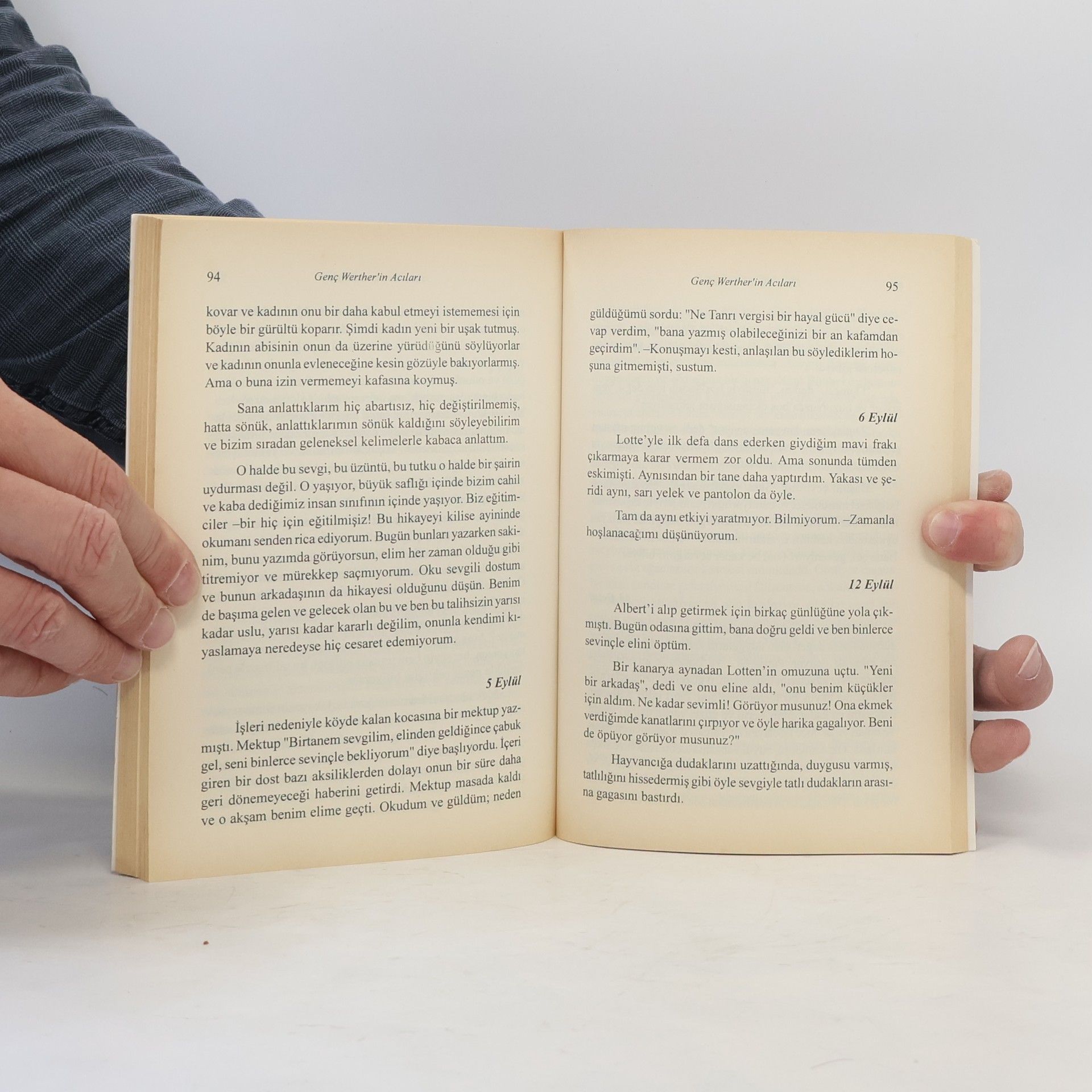 Johann Wolfgang Goethe Genç Werther'in Acıları