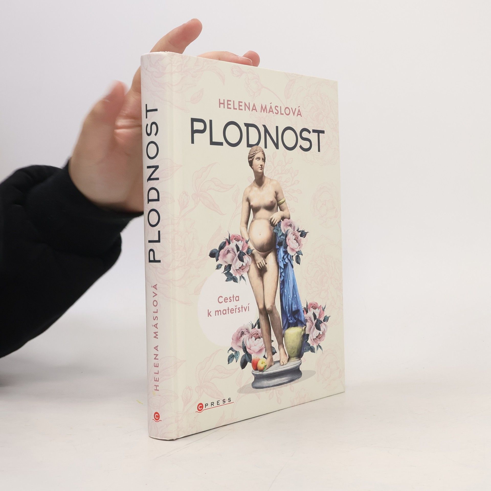Helena Máslová Plodnost : cesta k mateřství
