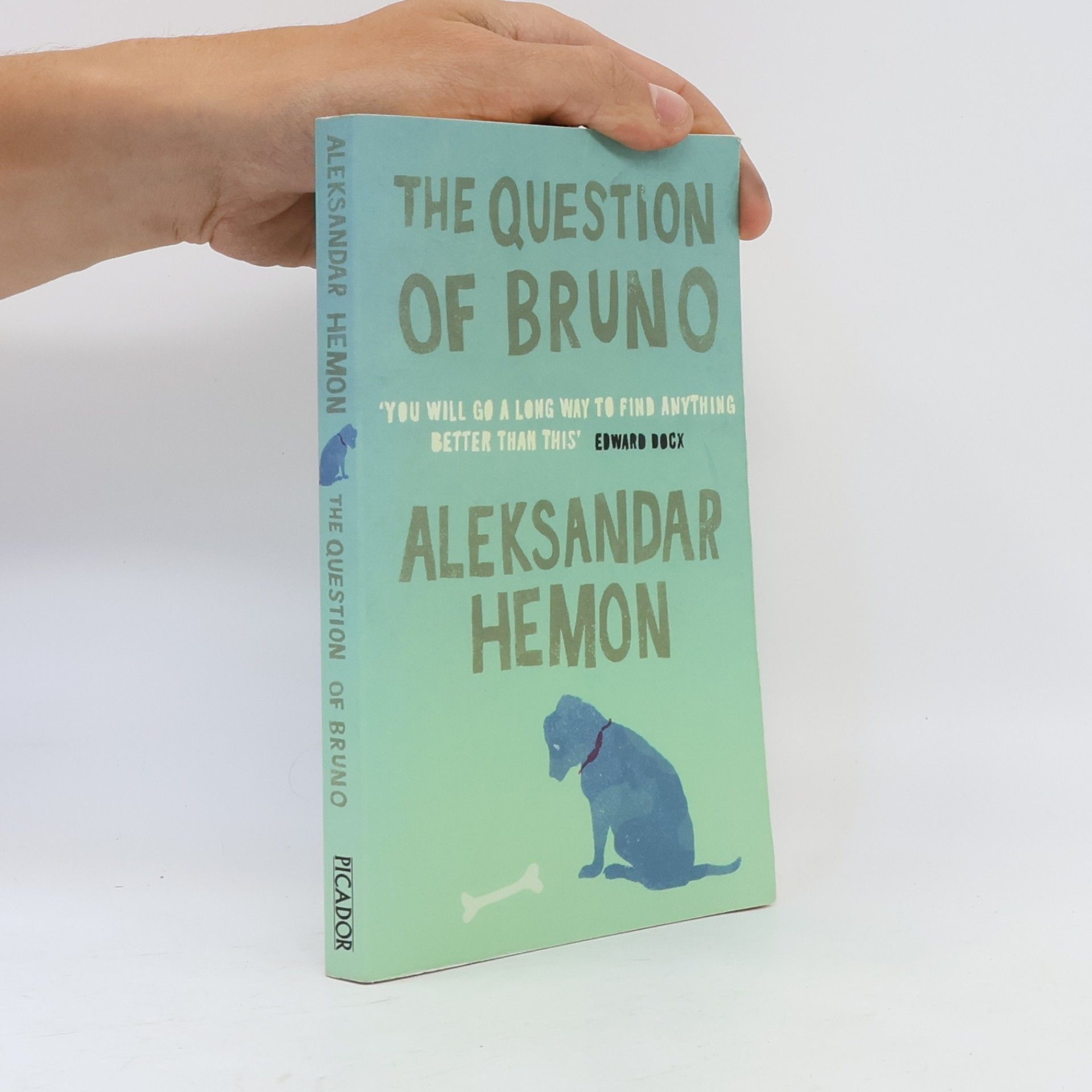 Aleksandar Hemon The Question of Bruno