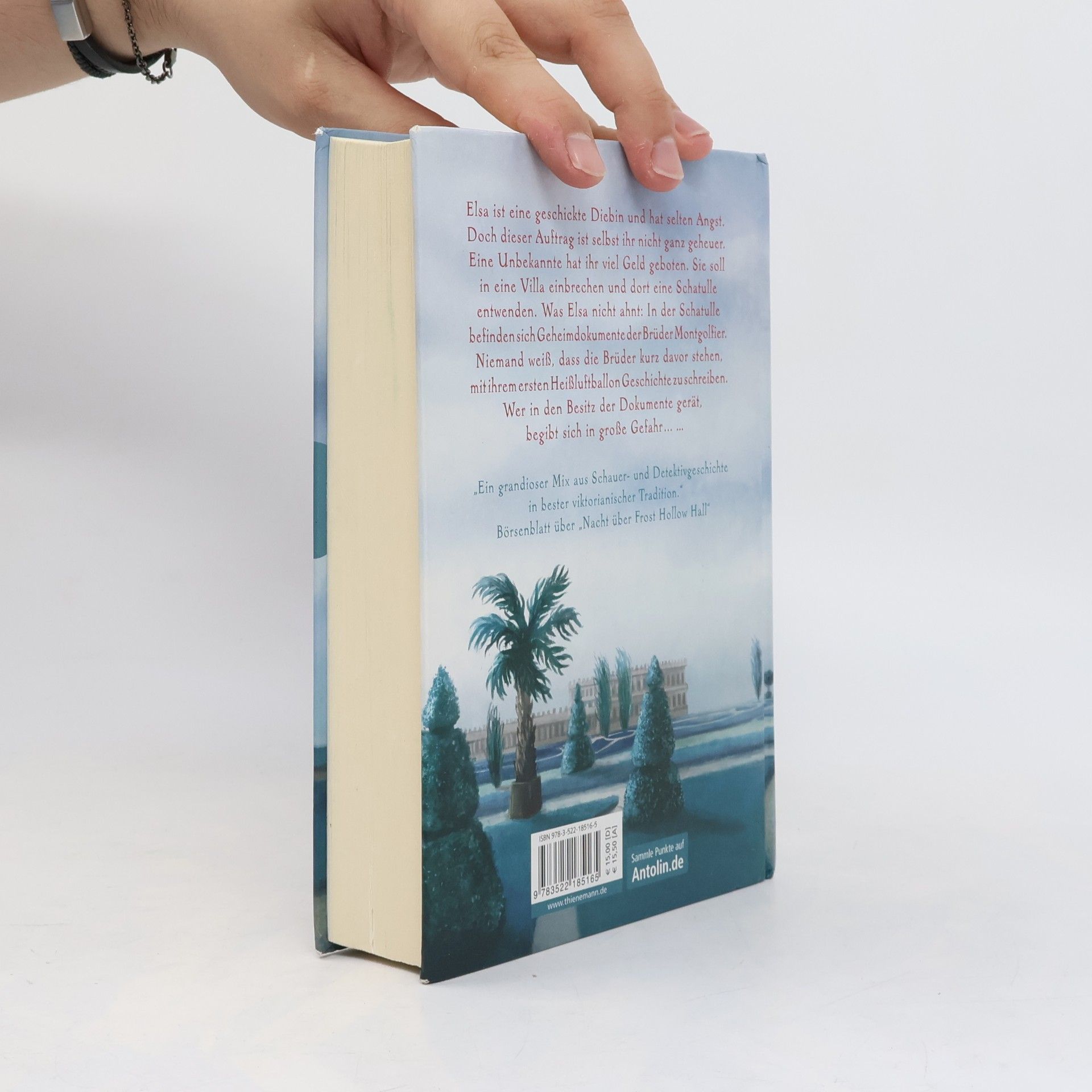 Emma Carroll Das Geheimnis der roten Schatulle