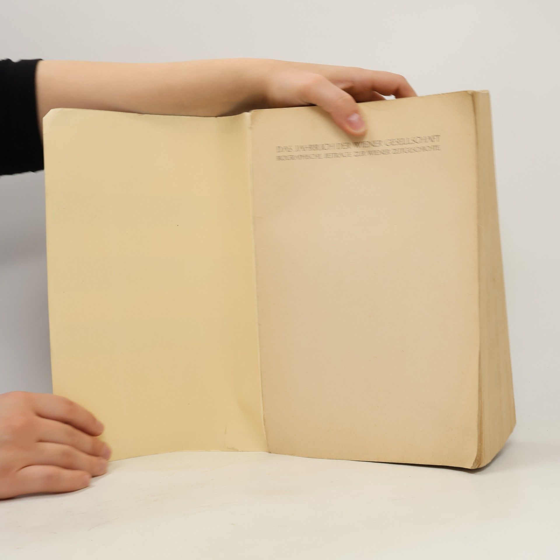 Collectif d'auteurs Das Jahrbuch der Wiener Gesellschaft