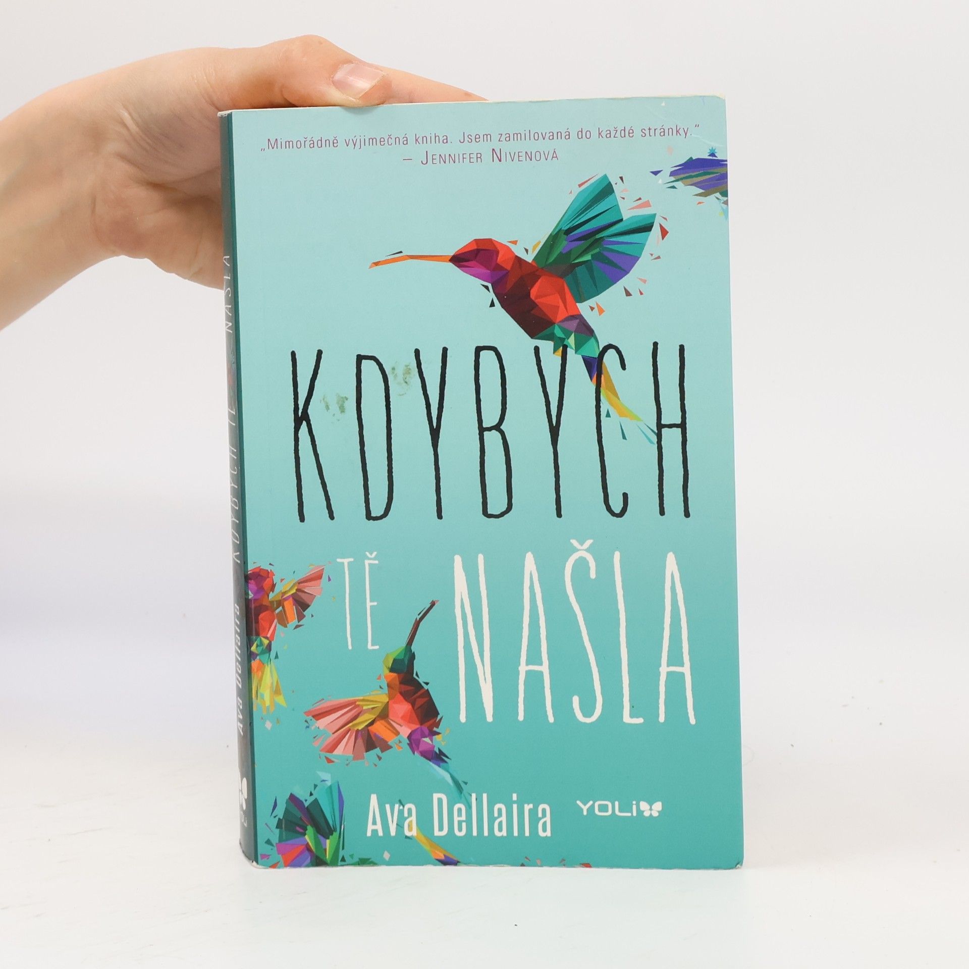 Ava Dellaira Kdybych tě našla