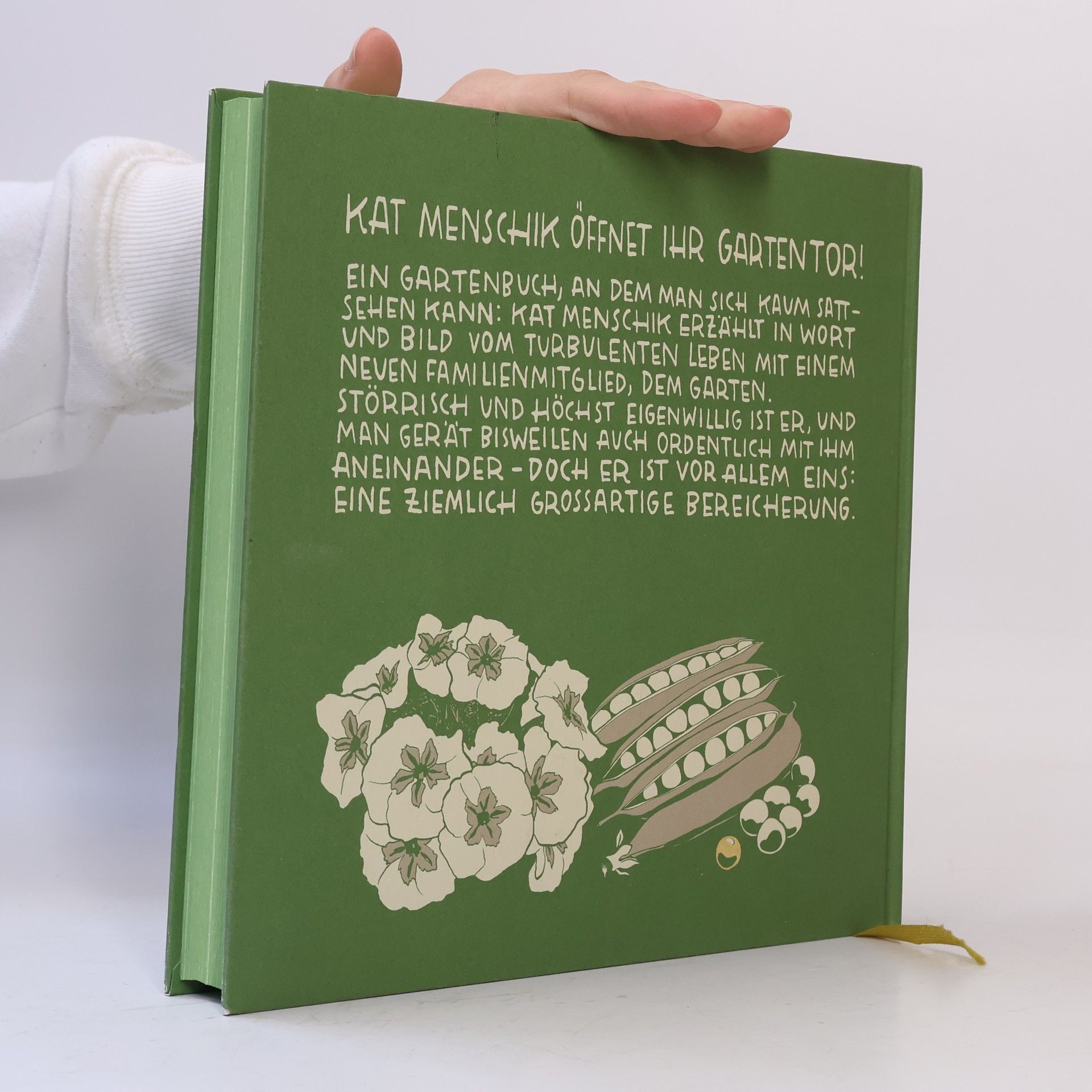 Kat Menschik Der goldene Grubber