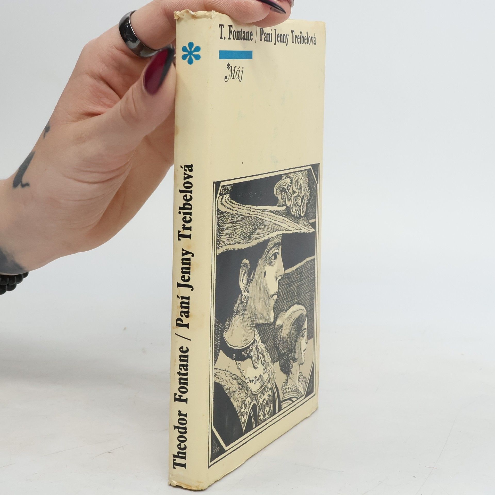 Theodor Fontane Paní Jenny Treibelová