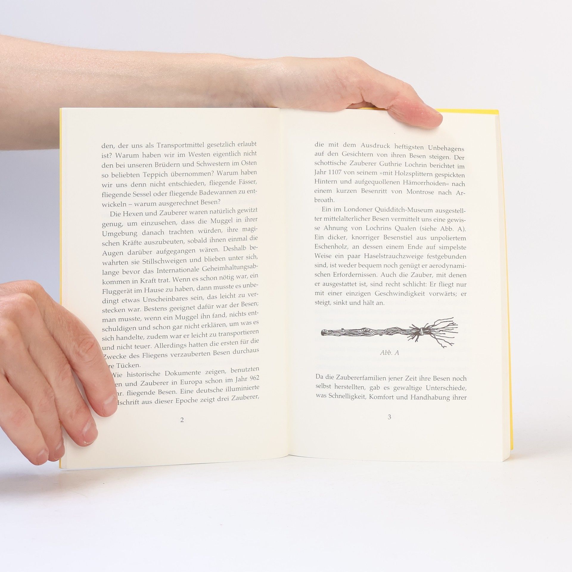 Autorenkollektiv Harry Potter. Quidditch im Wandel der Zeiten