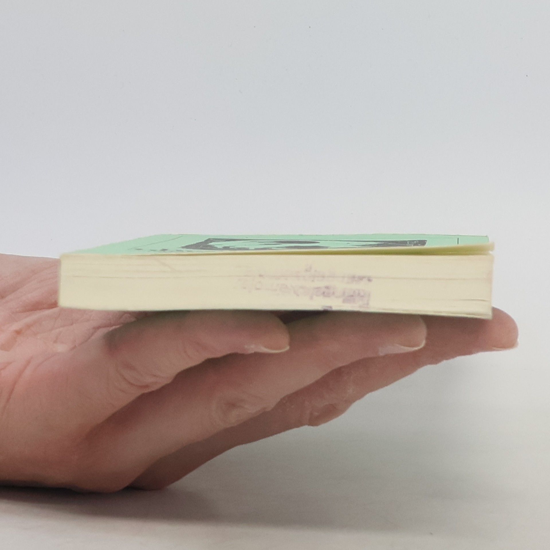 Jean Paul Des Luftschiffers Giannozzo Seebuch; Über die natürliche Magie der Einbildungskraft. Mit Aufsätzen zu Jean Pauls Werk v. Ralph-Rainer Wuthenow