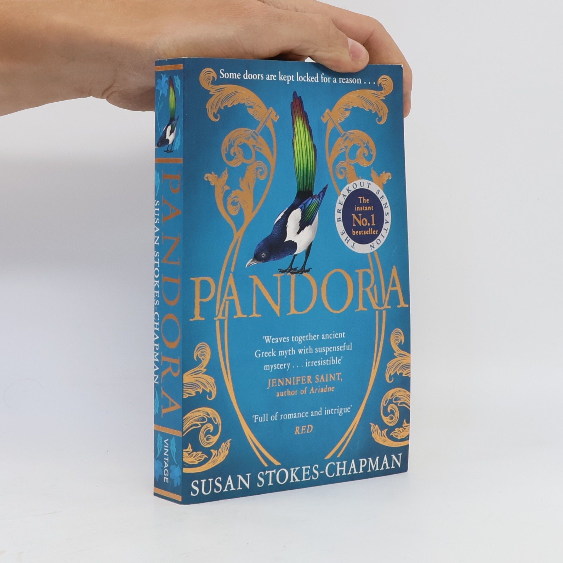 Susan Stokes Chapman Pandora