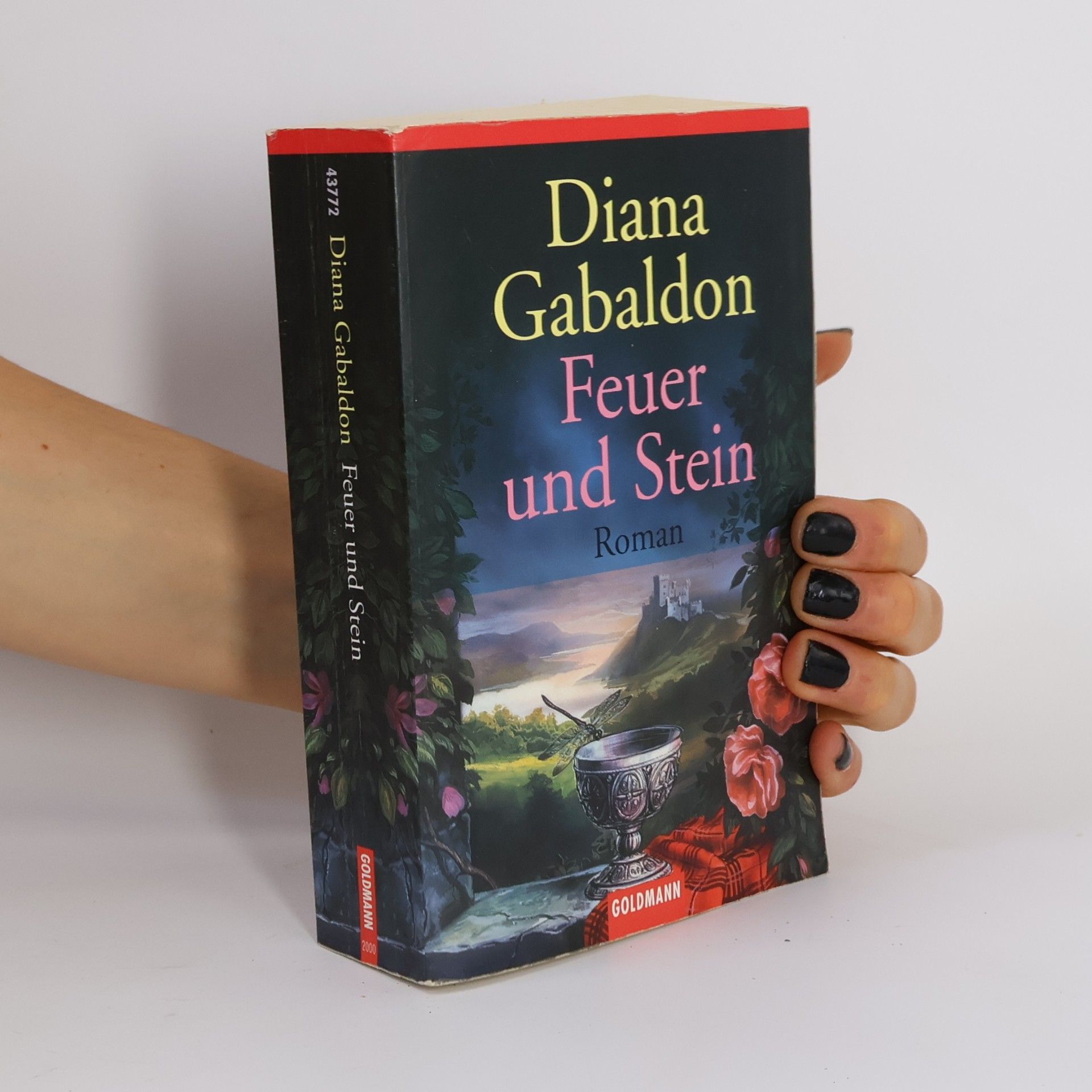 Diana Gabaldon Feuer und Stein