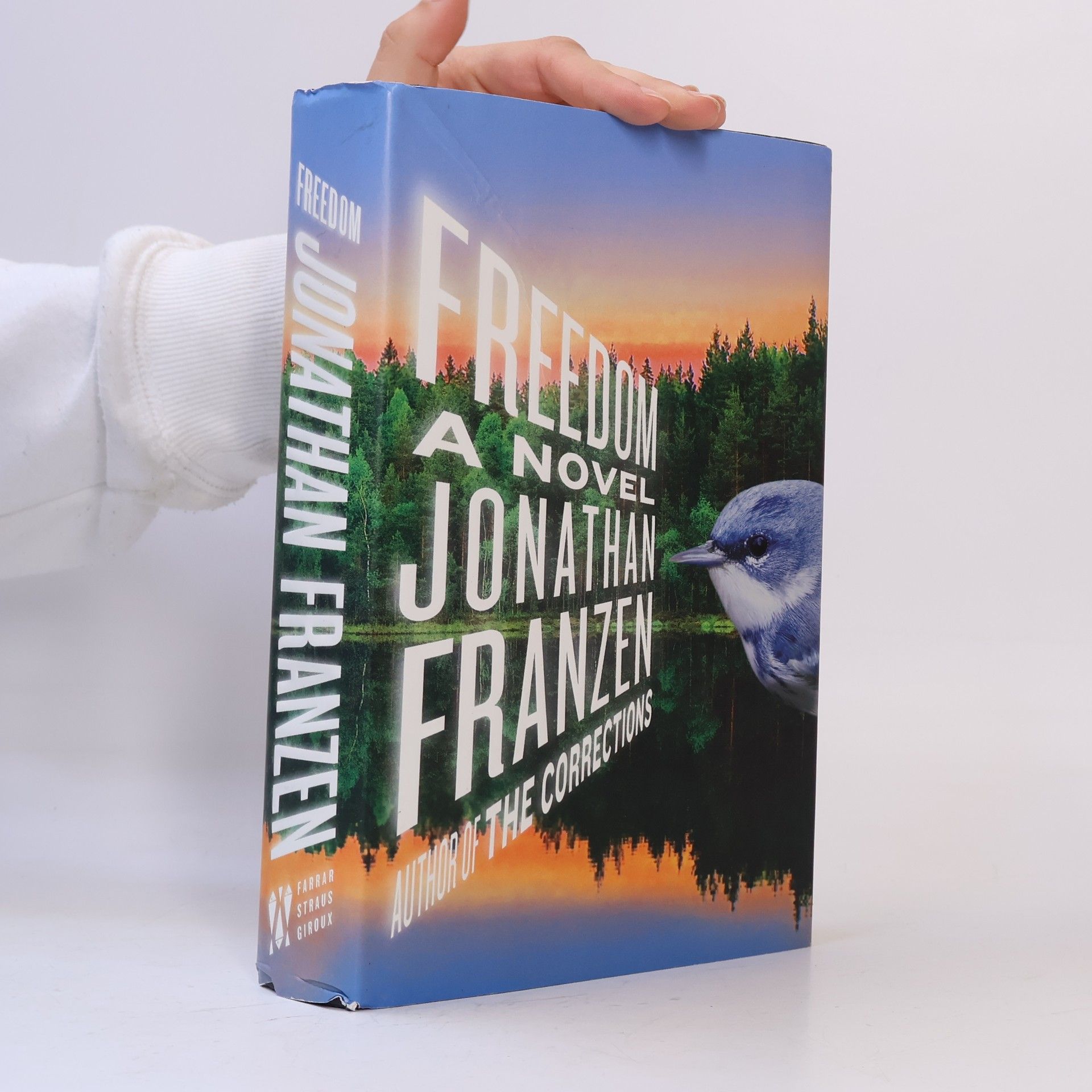 Jonathan Franzen Freedom