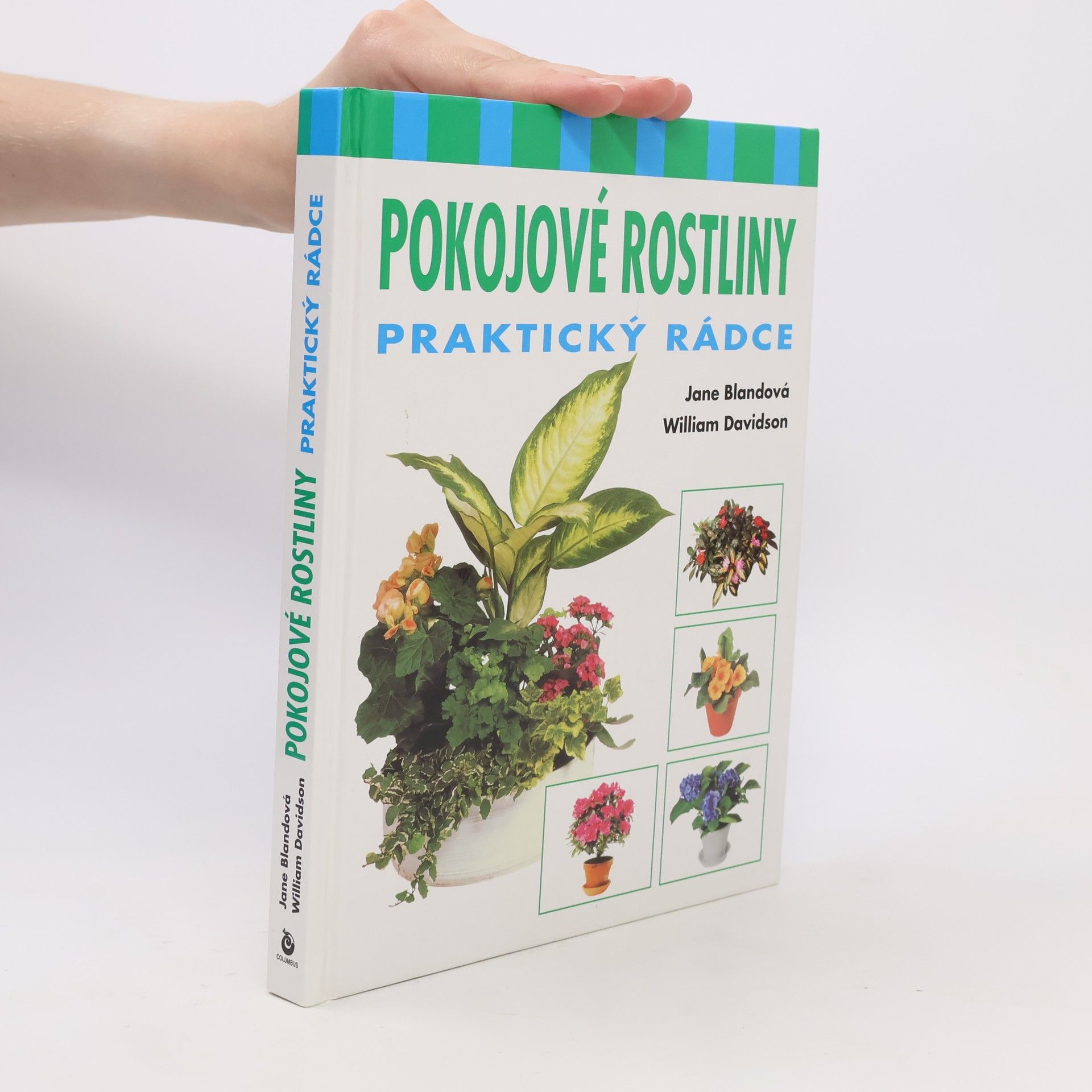 Jane Bland Pokojové rostliny : praktický rádce