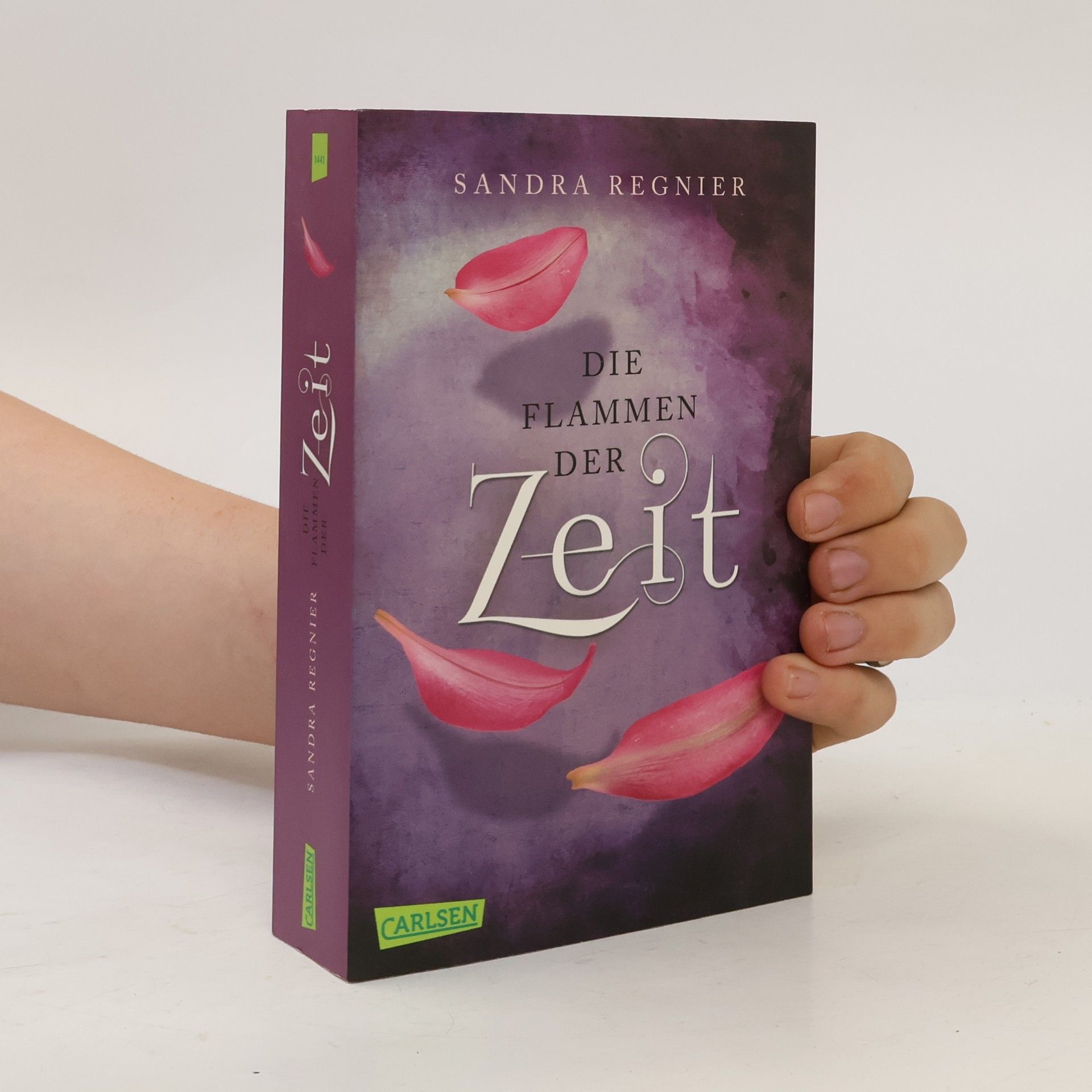 Sandra Regnier Die Flammen der Zeit