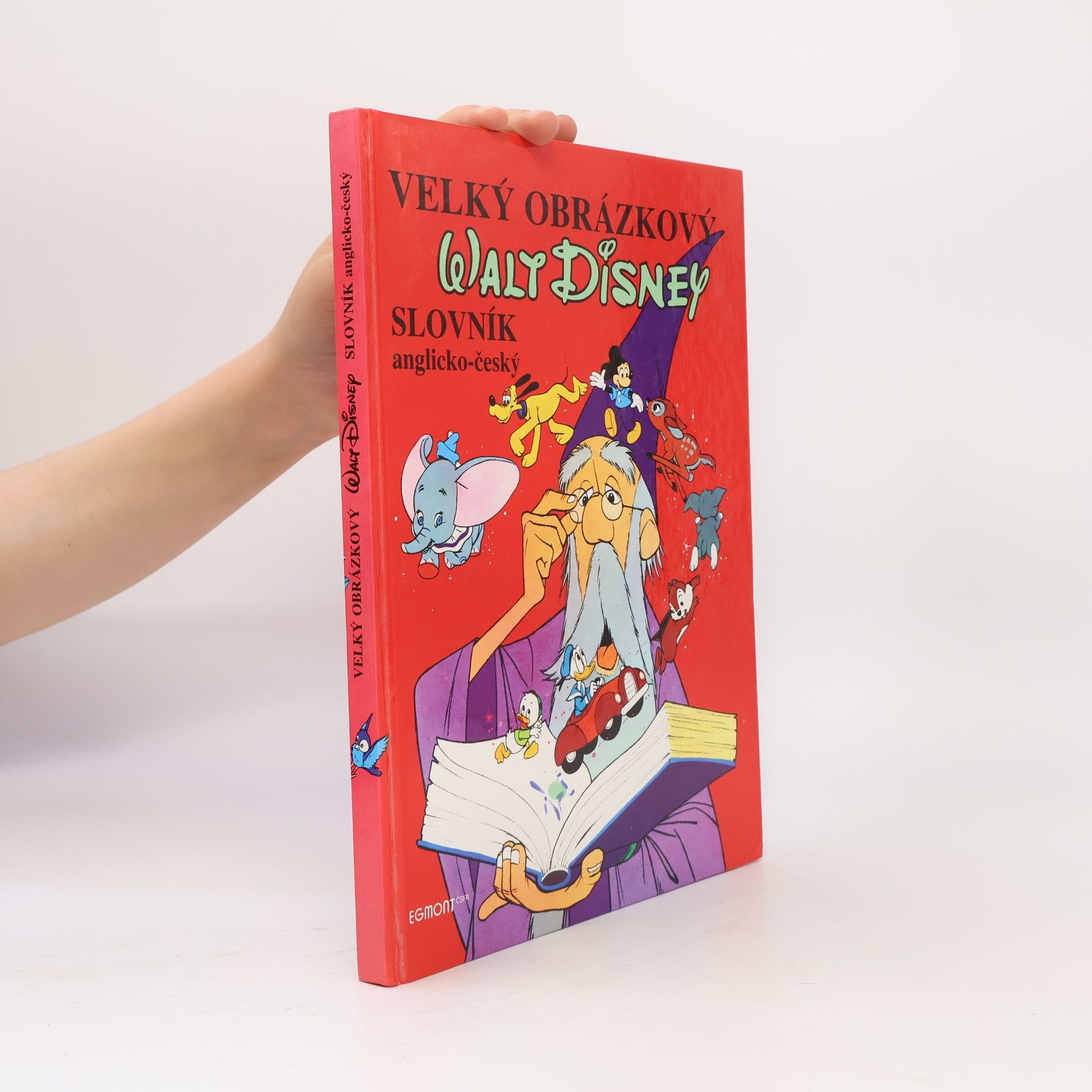 Walt Disney Velký obrázkový slovník anglicko-český