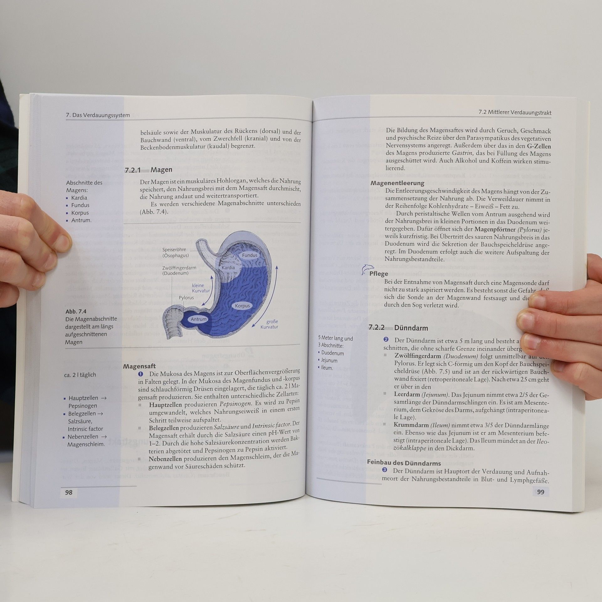 Maria Anna Schoppmeyer Anatomie und Physiologie
