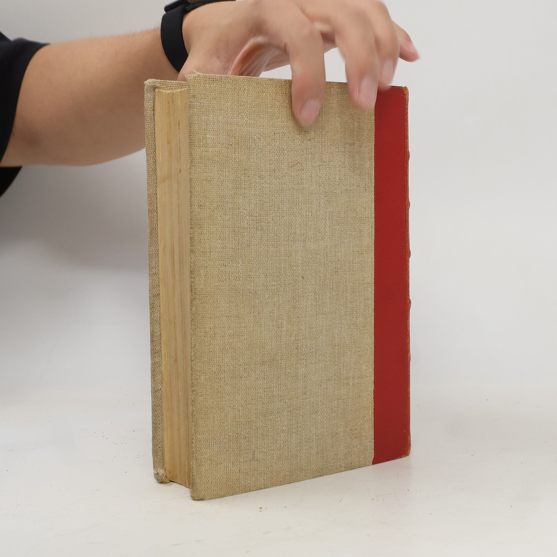 Margaret Mitchell Jih proti severu 1