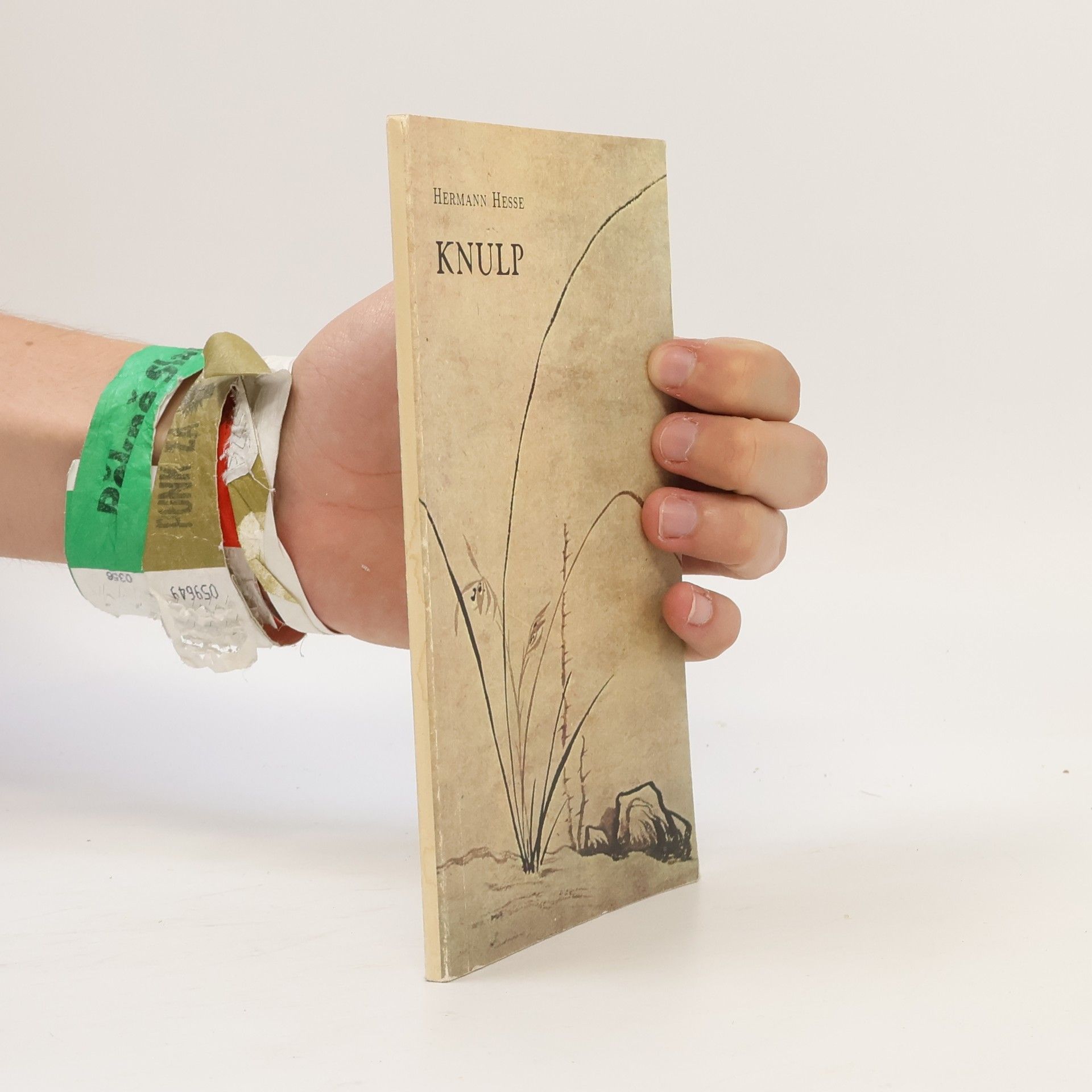 Hermann Hesse Knulp
