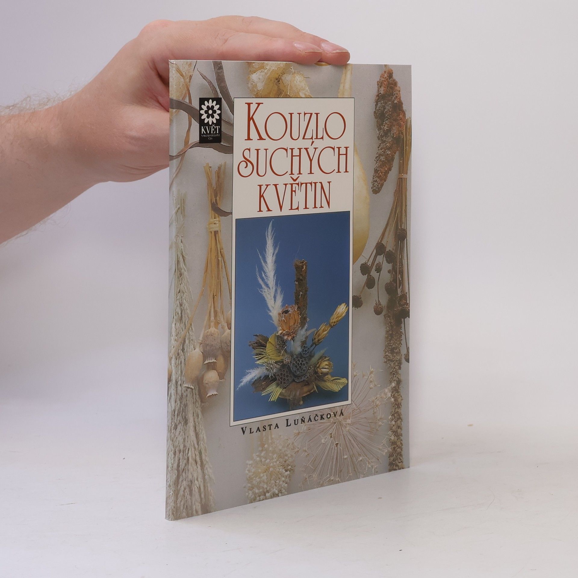 Vlasta Luňáčková Kouzlo suchých květin