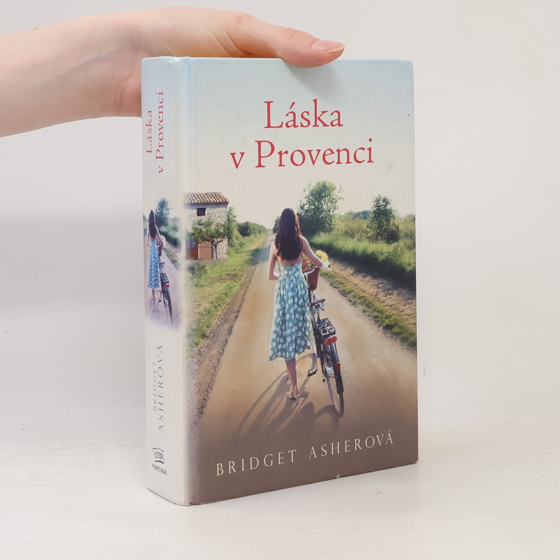 Bridget Asher Láska v Provenci