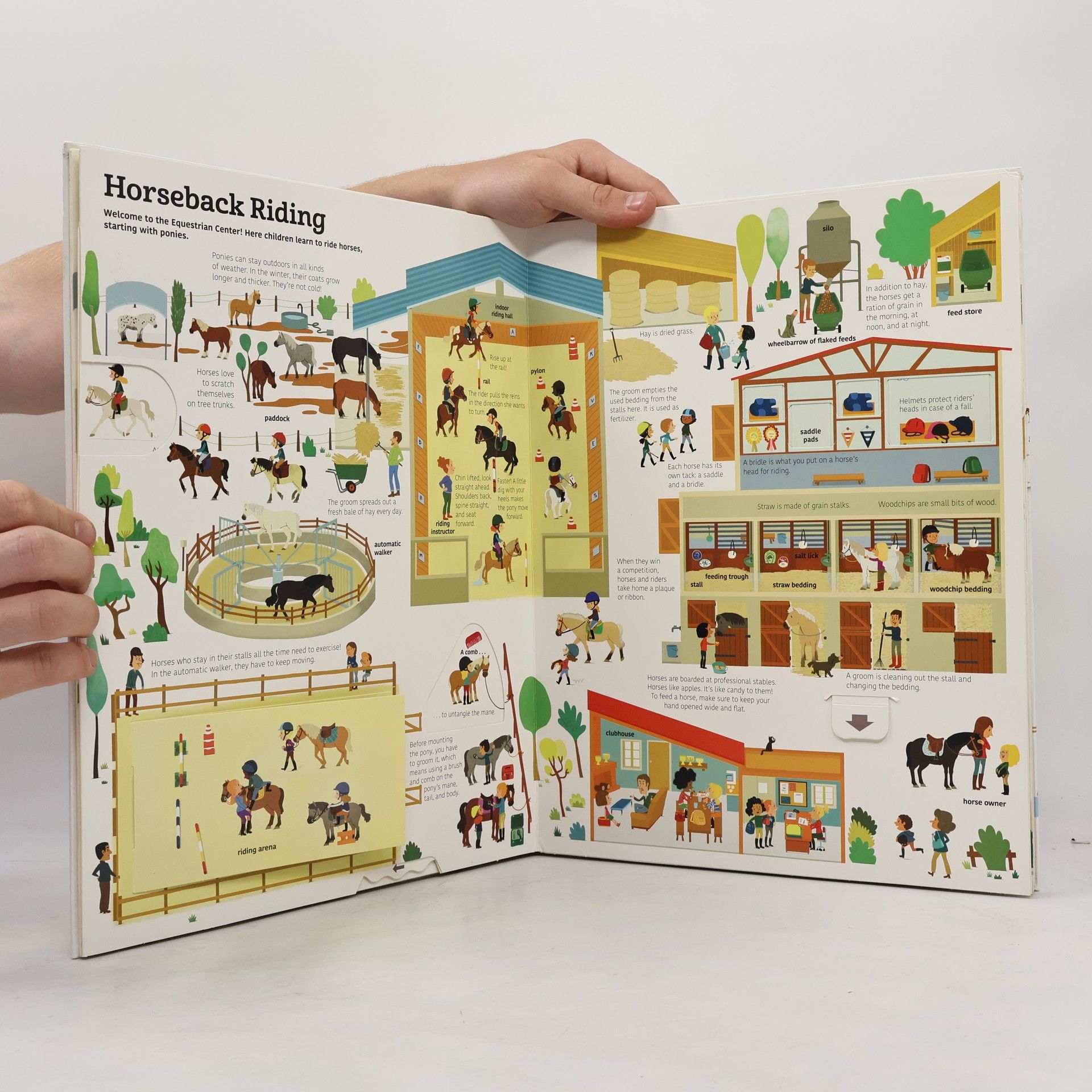 Sandra Laboucarie The Ultimate Book of Horses