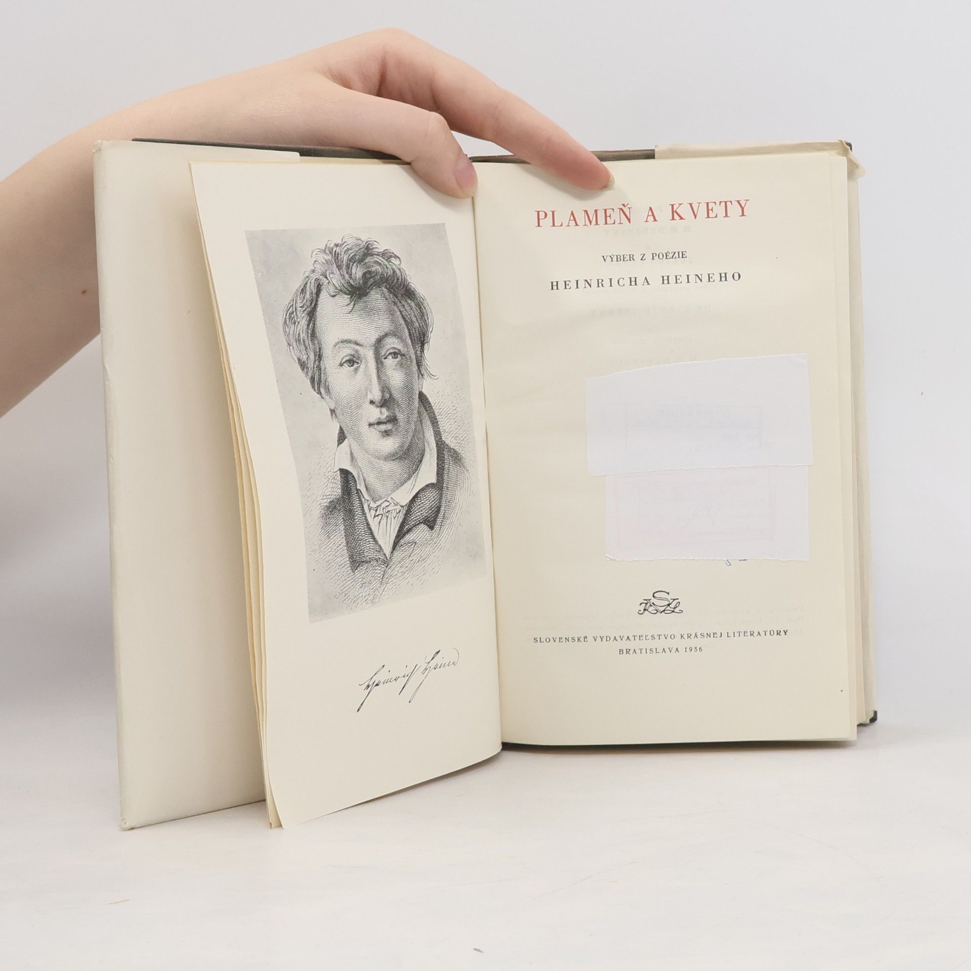 Heinrich Heine Plameň a kvety