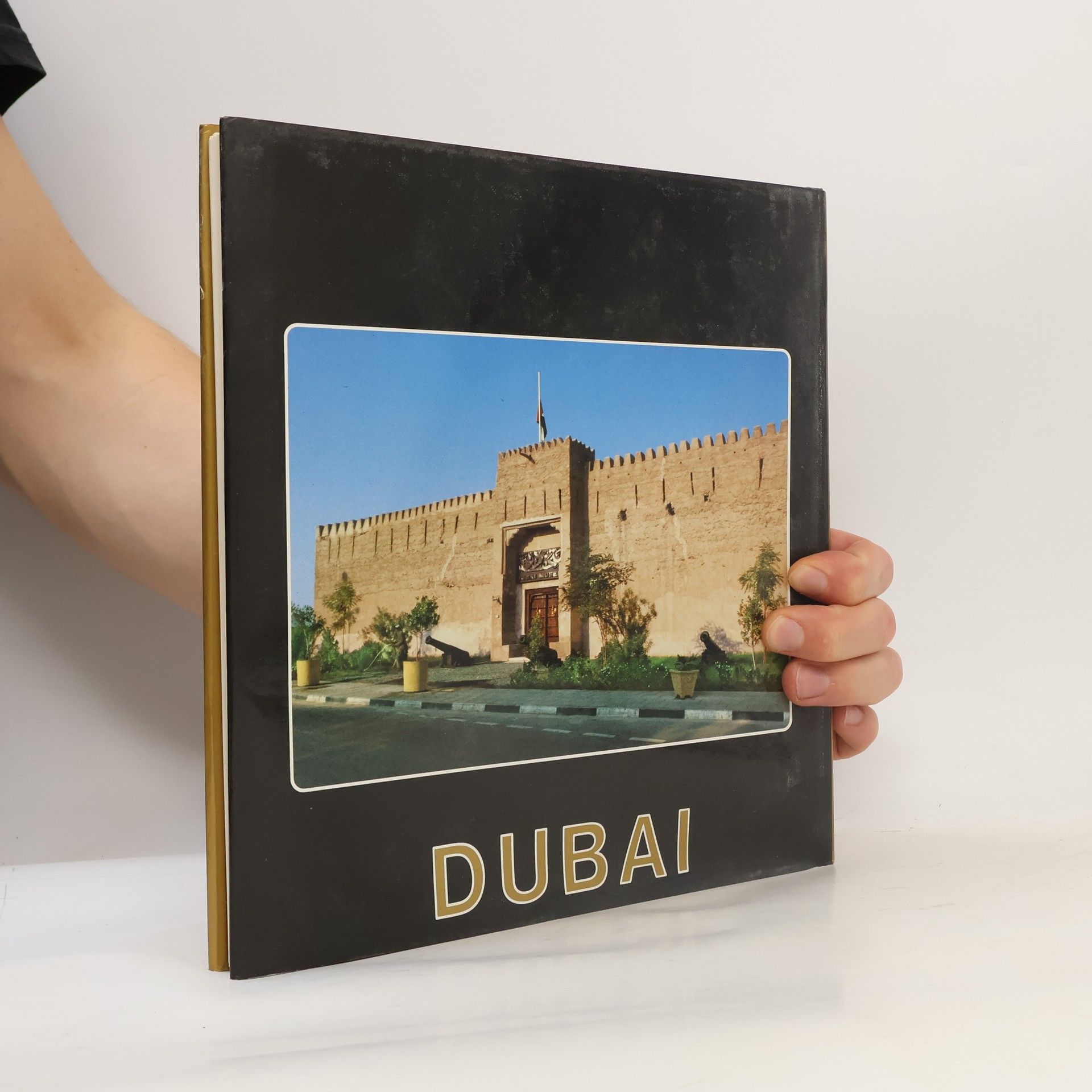 Collectif d'auteurs Dubai