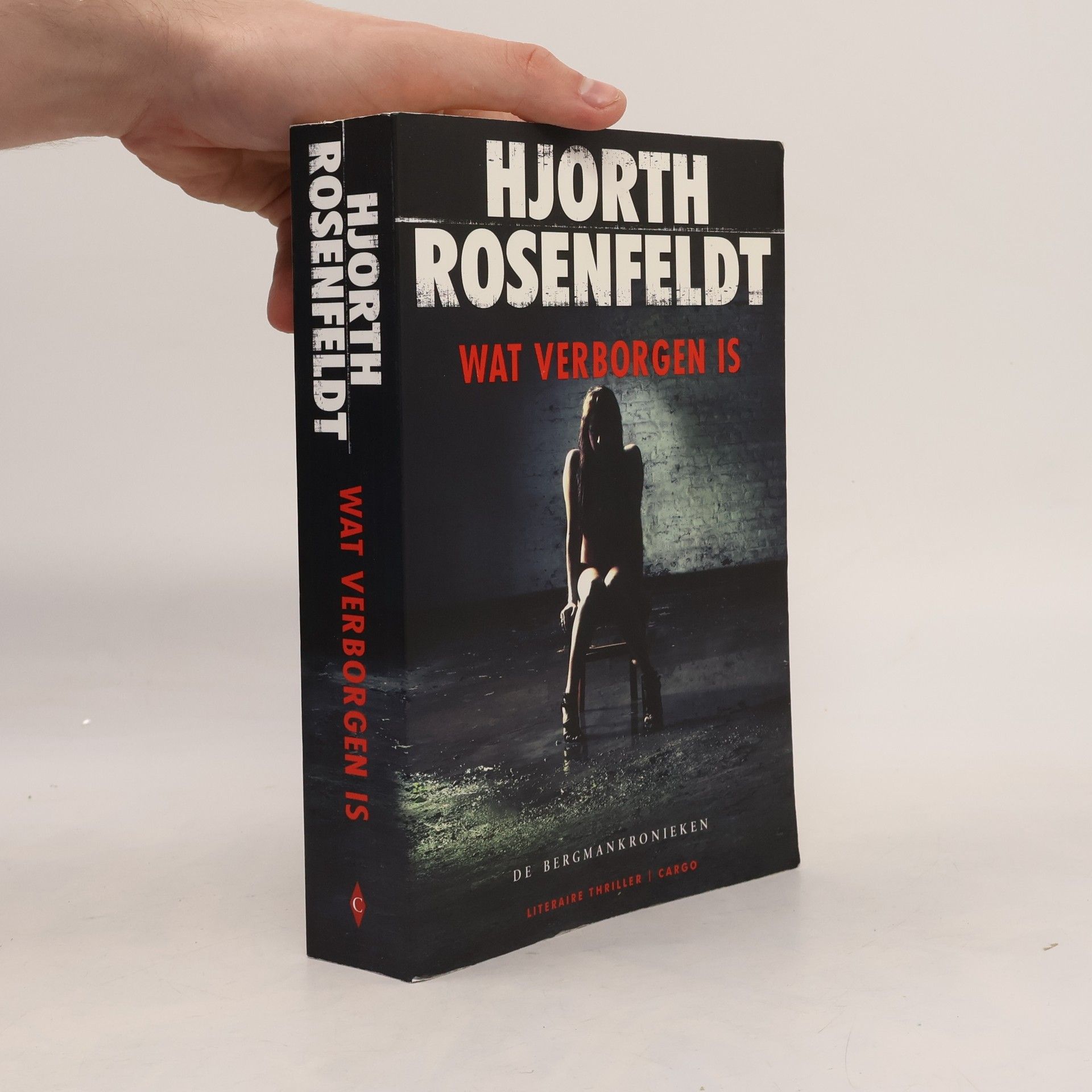 Michael Hjorth De Bergmankronieken - 1: Wat verborgen is