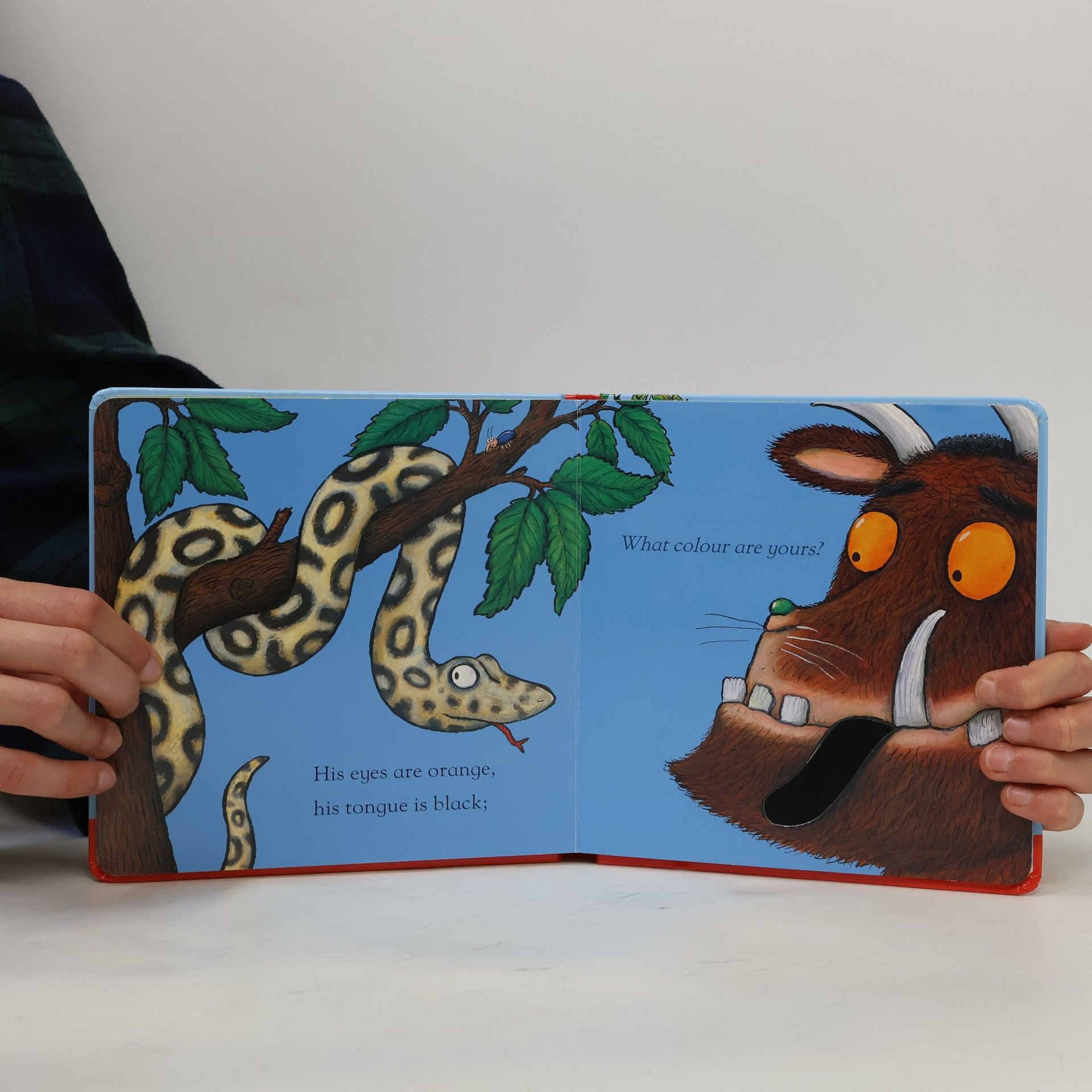 Julia Donaldson The Gruffalo Touch and Feel Book