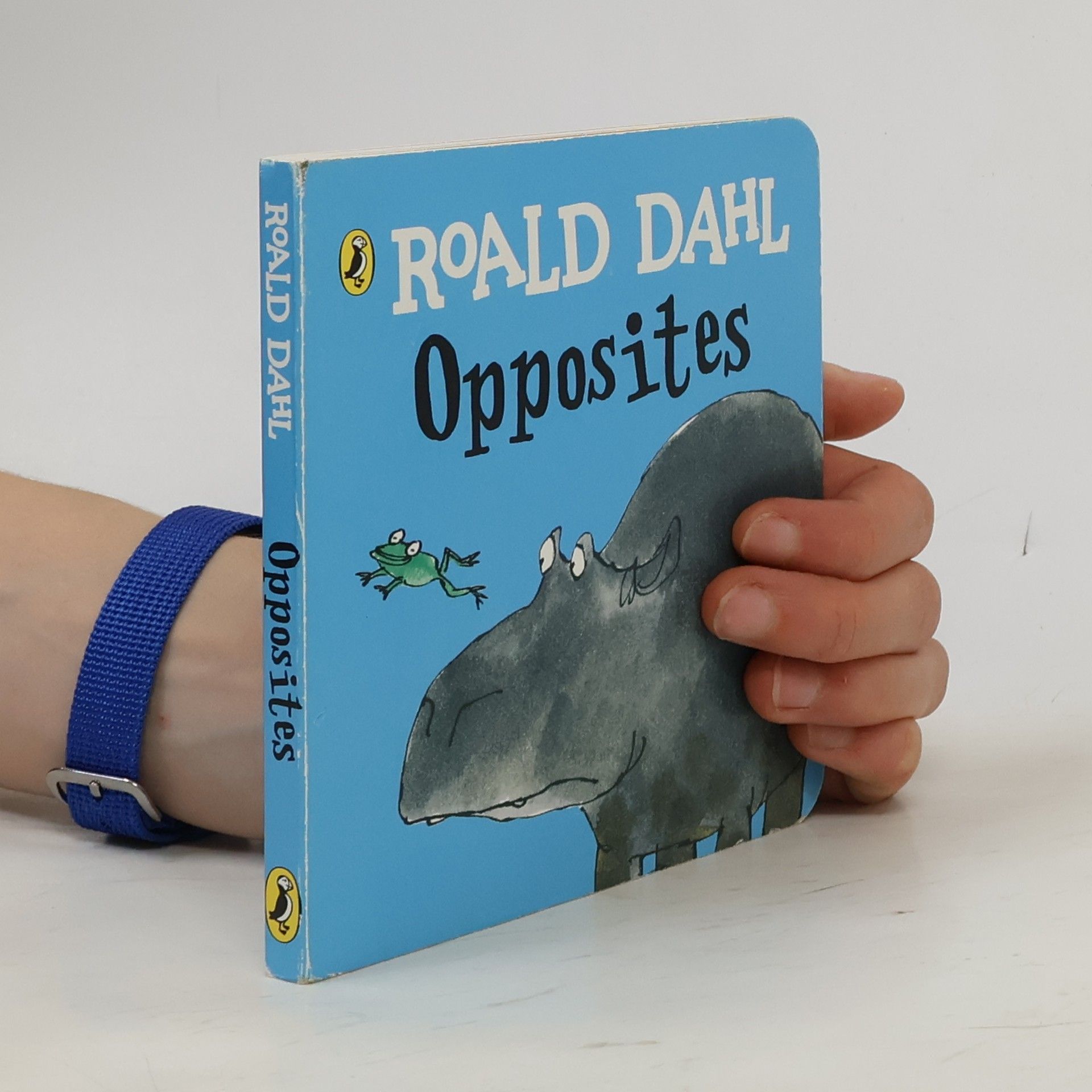 Roald Dahl Opposites