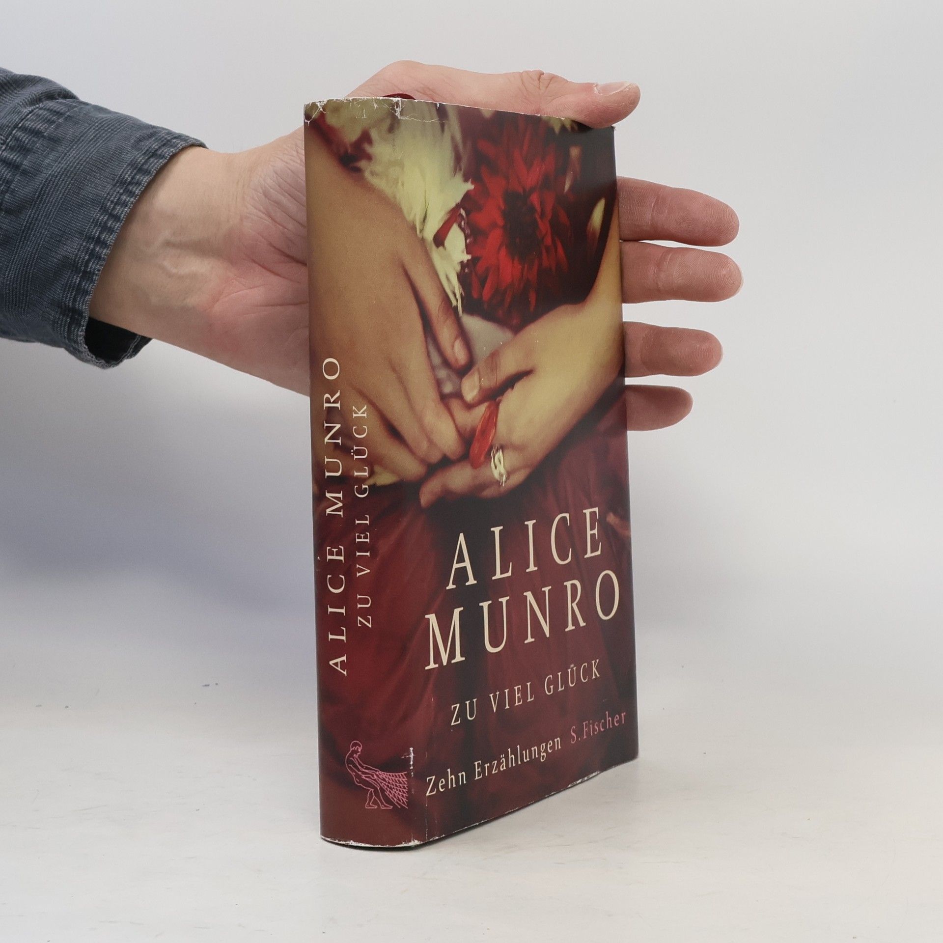 Alice Munro Zu viel Glück