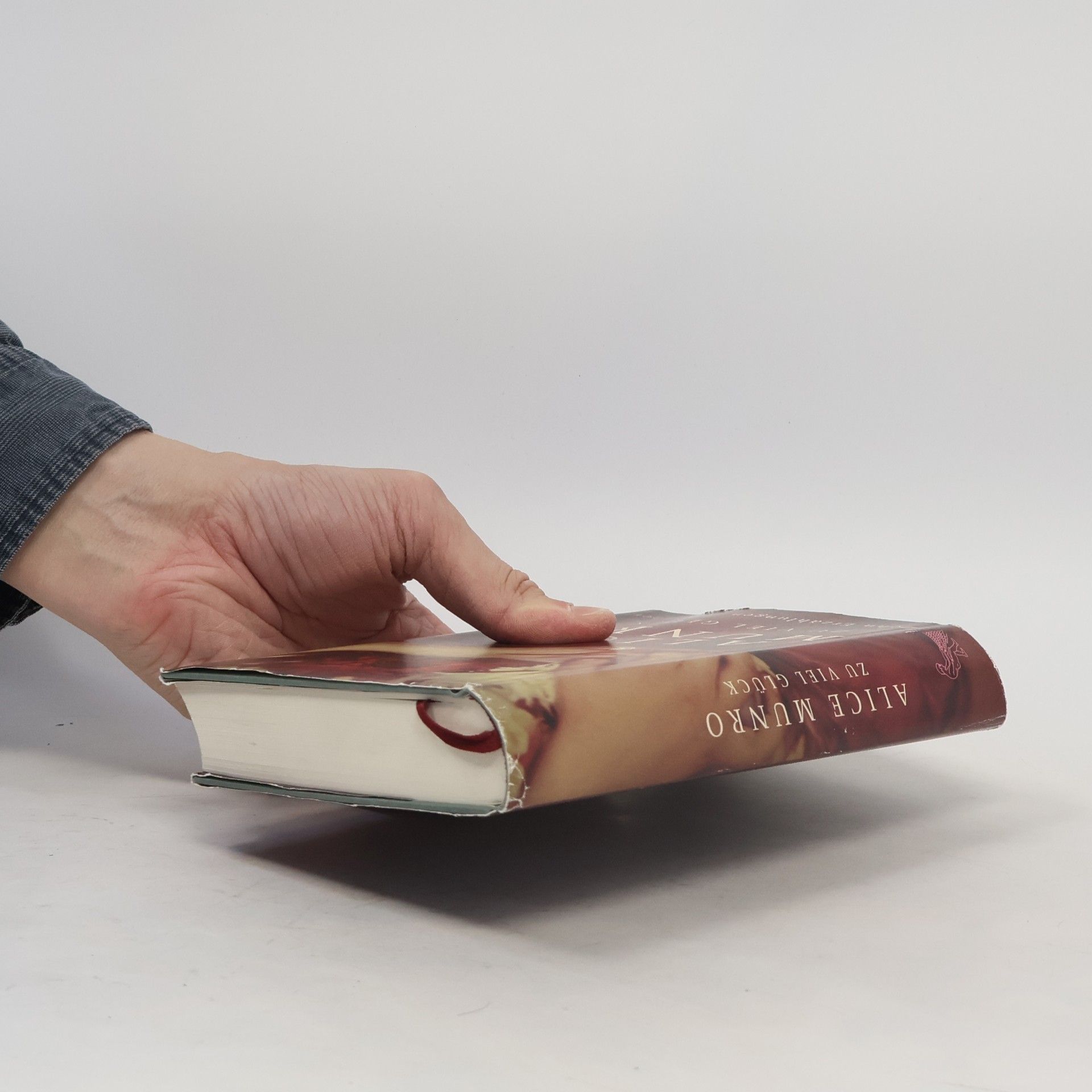Alice Munro Zu viel Glück