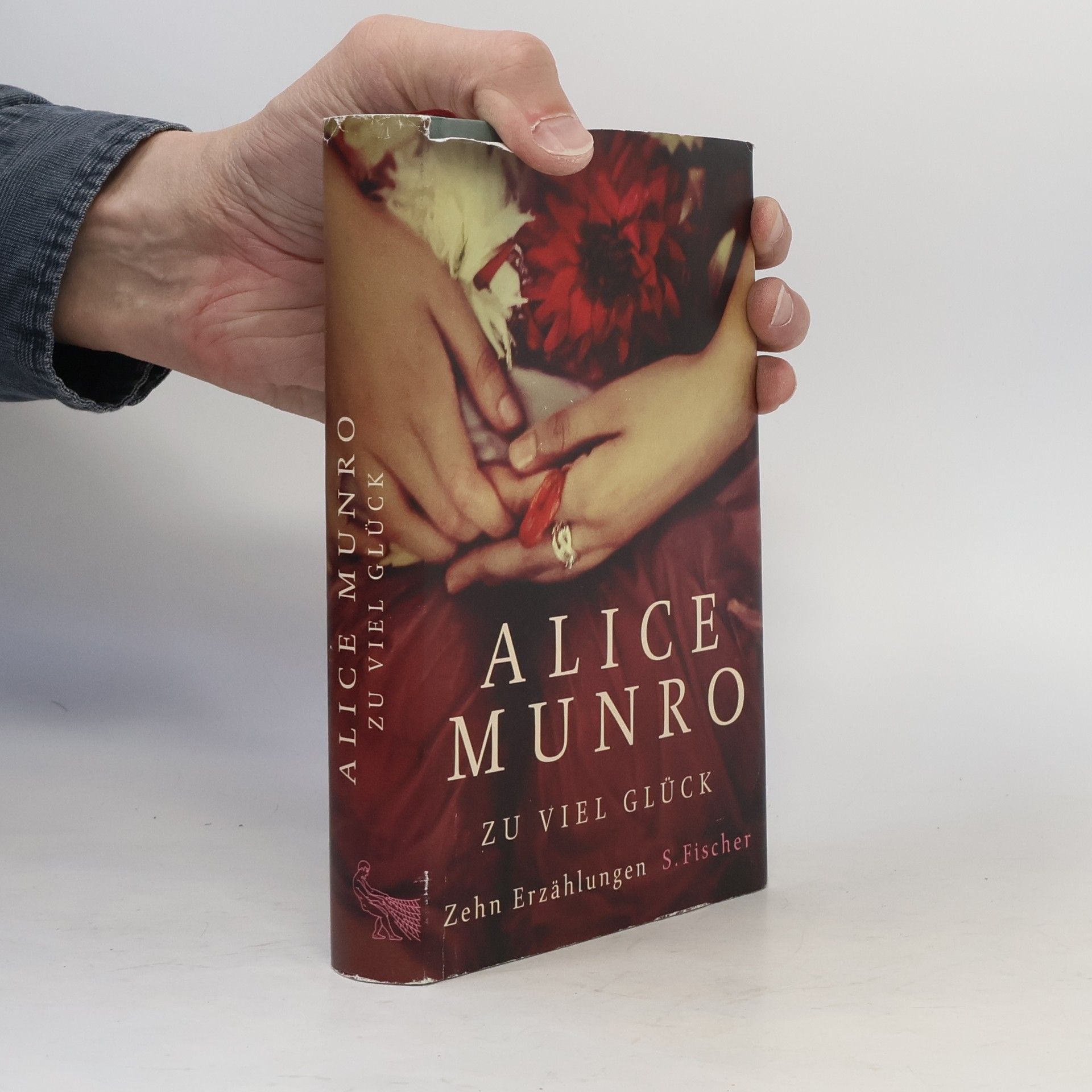 Alice Munro Zu viel Glück
