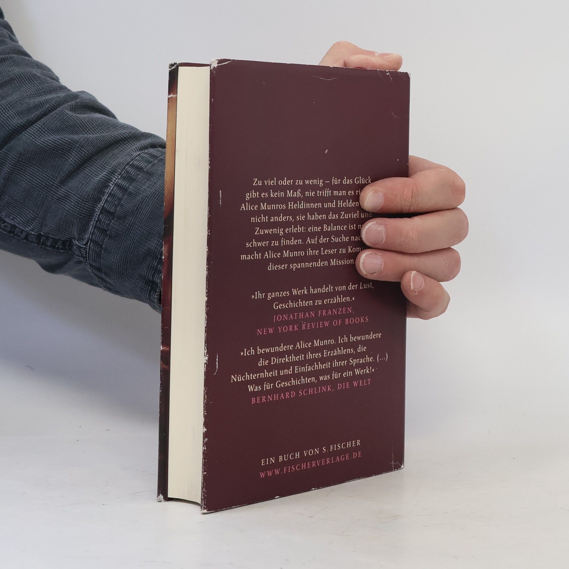 Alice Munro Zu viel Glück