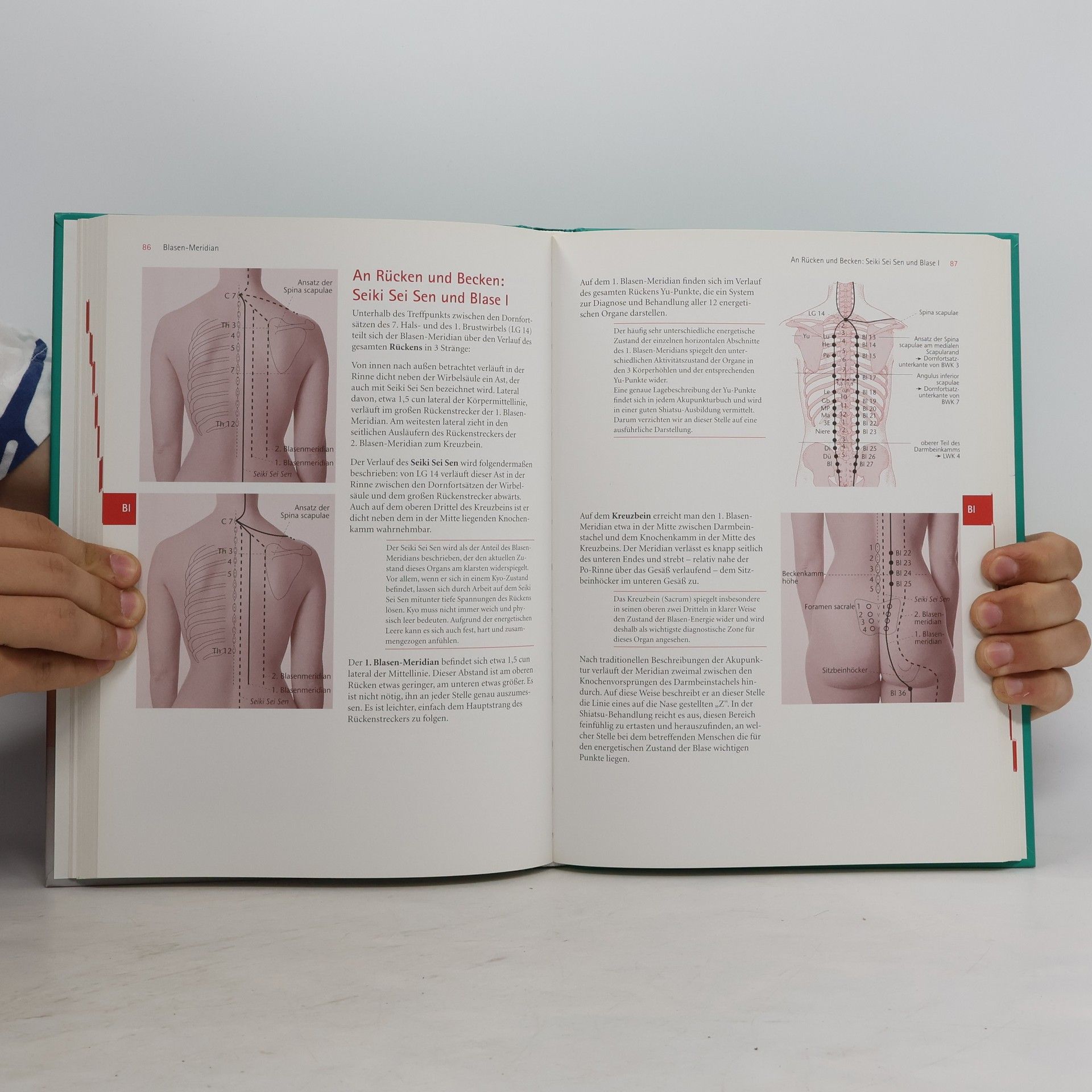 Wilfried Rappenecker Atlas Shiatsu