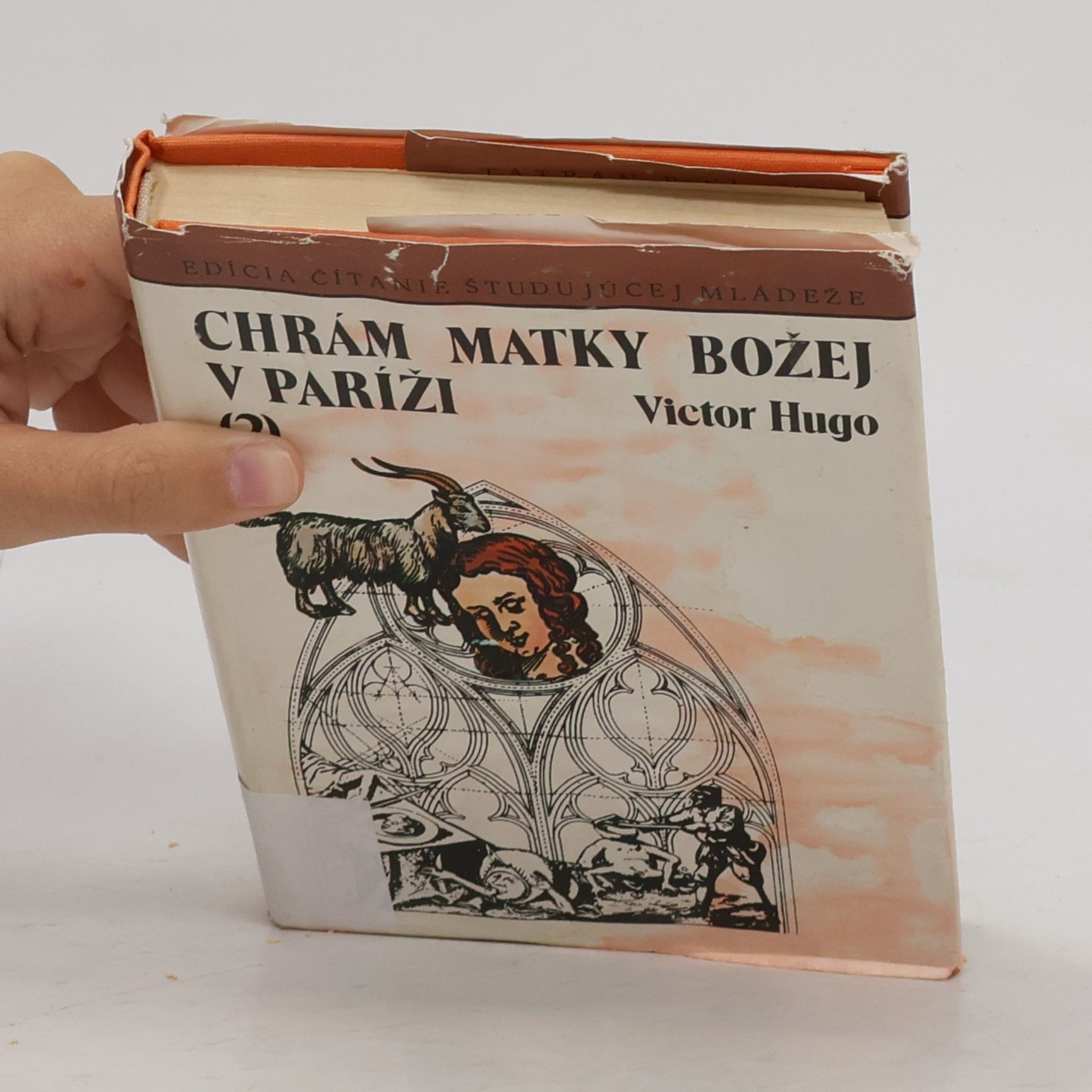 Victor Hugo Chrám matky božej v Paríži 2