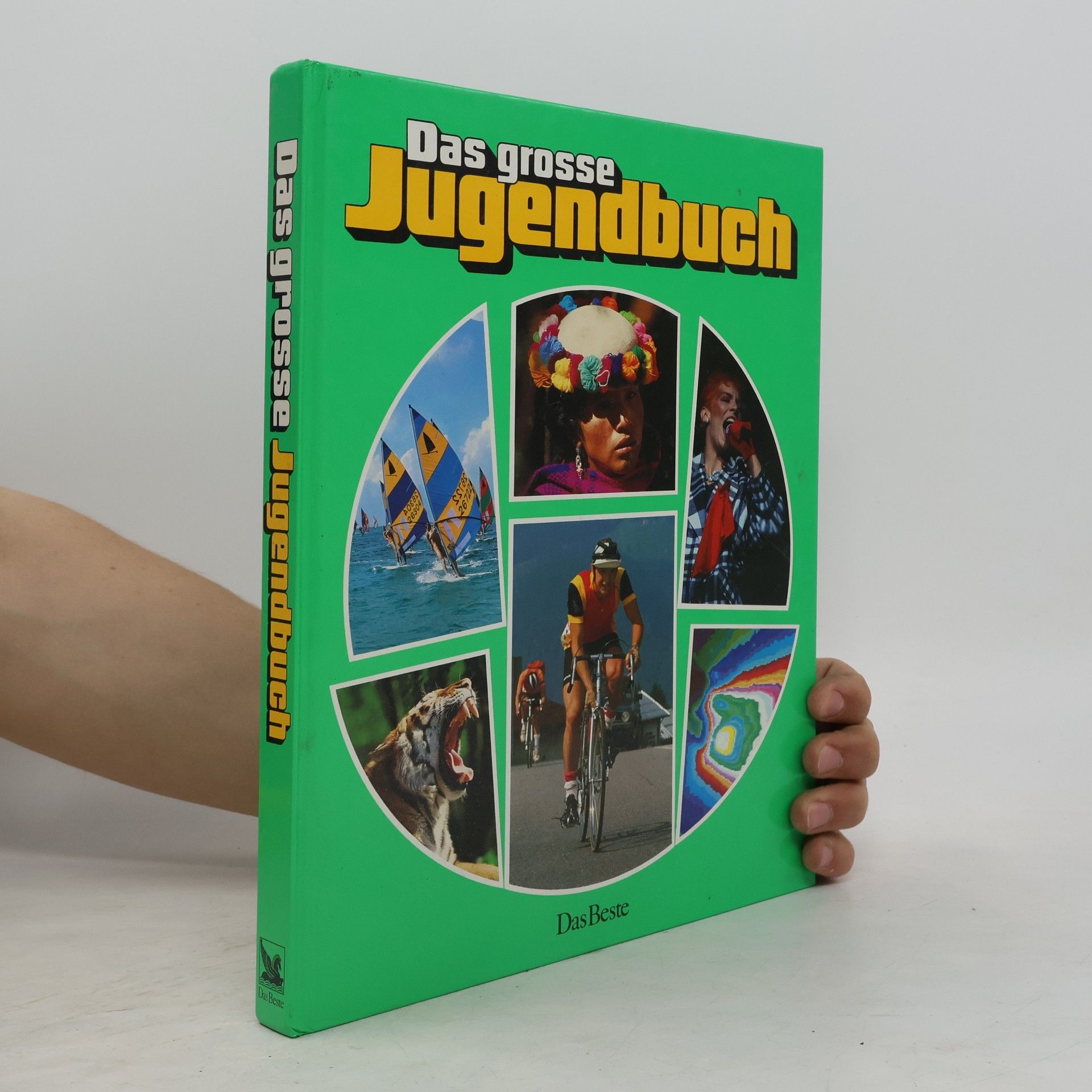 Autorenkollektiv Das große Jugendbuch