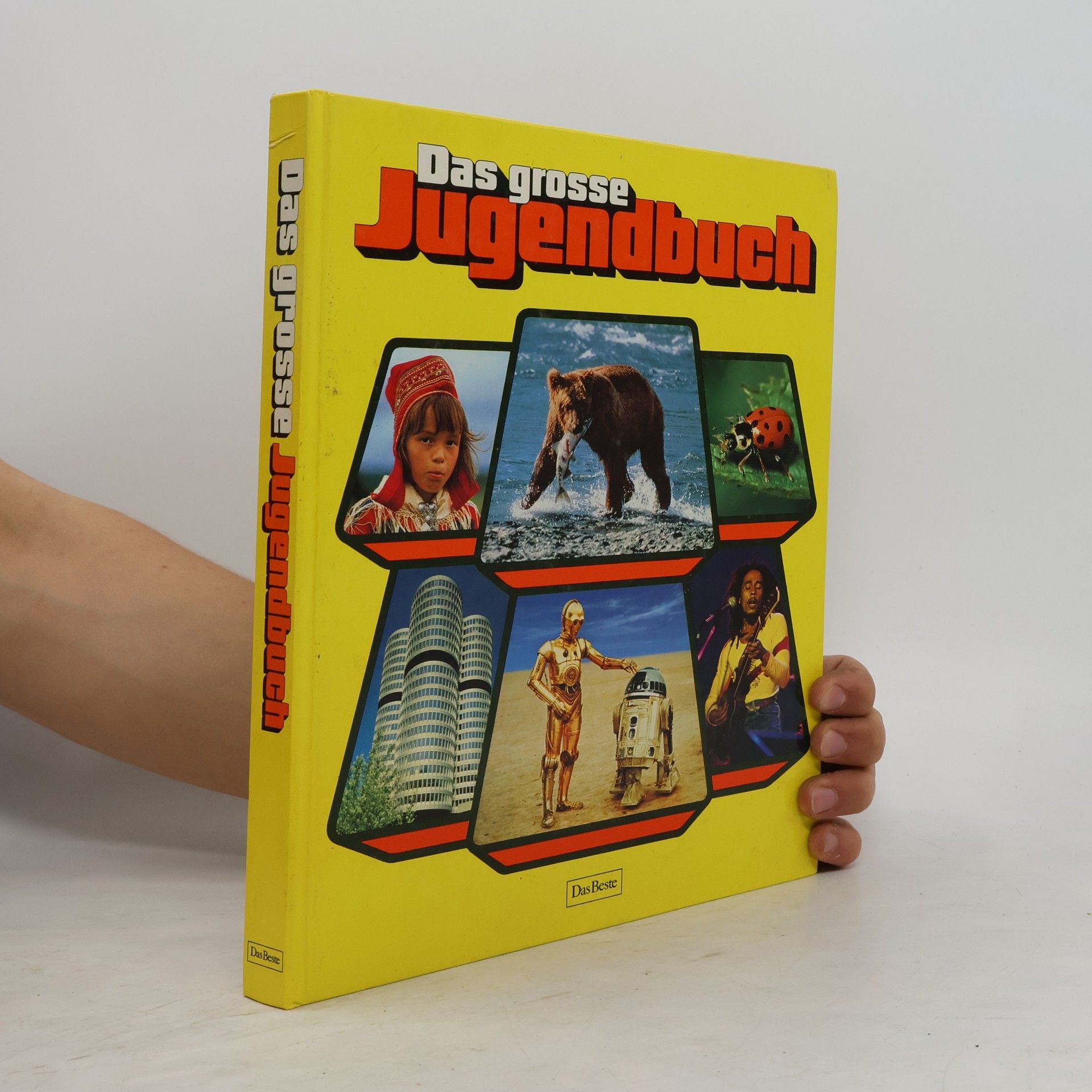 09 a83 Das grosse jugendbuch