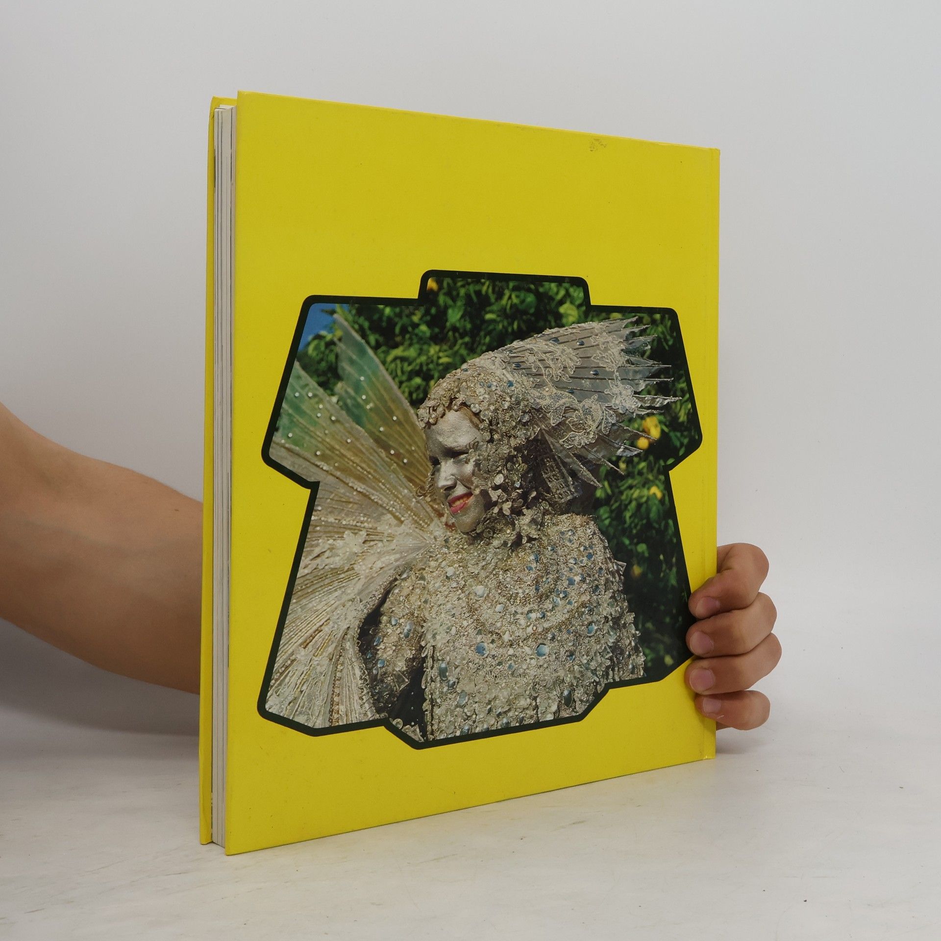 09 a83 Das grosse jugendbuch