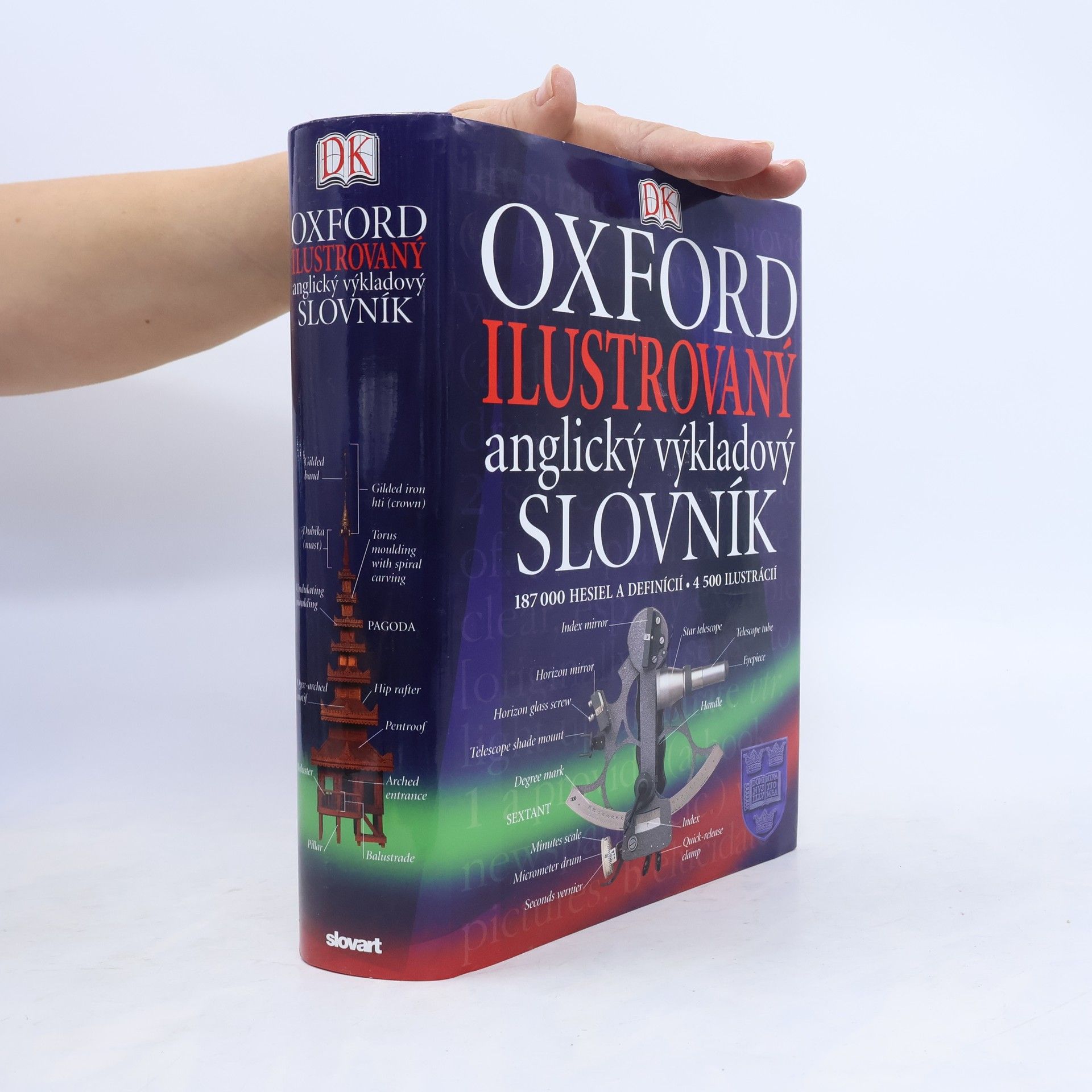 Autorenkollektiv Ilustrovaný anglický výkladový slovník