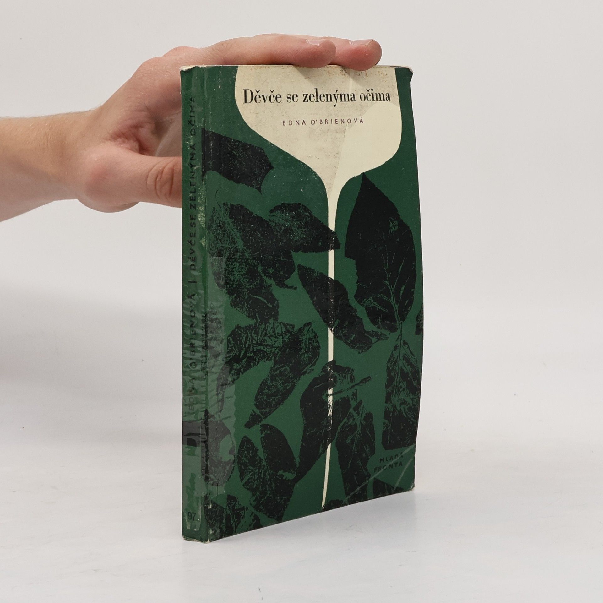 Edna O. Brien Děvče se zelenýma očima