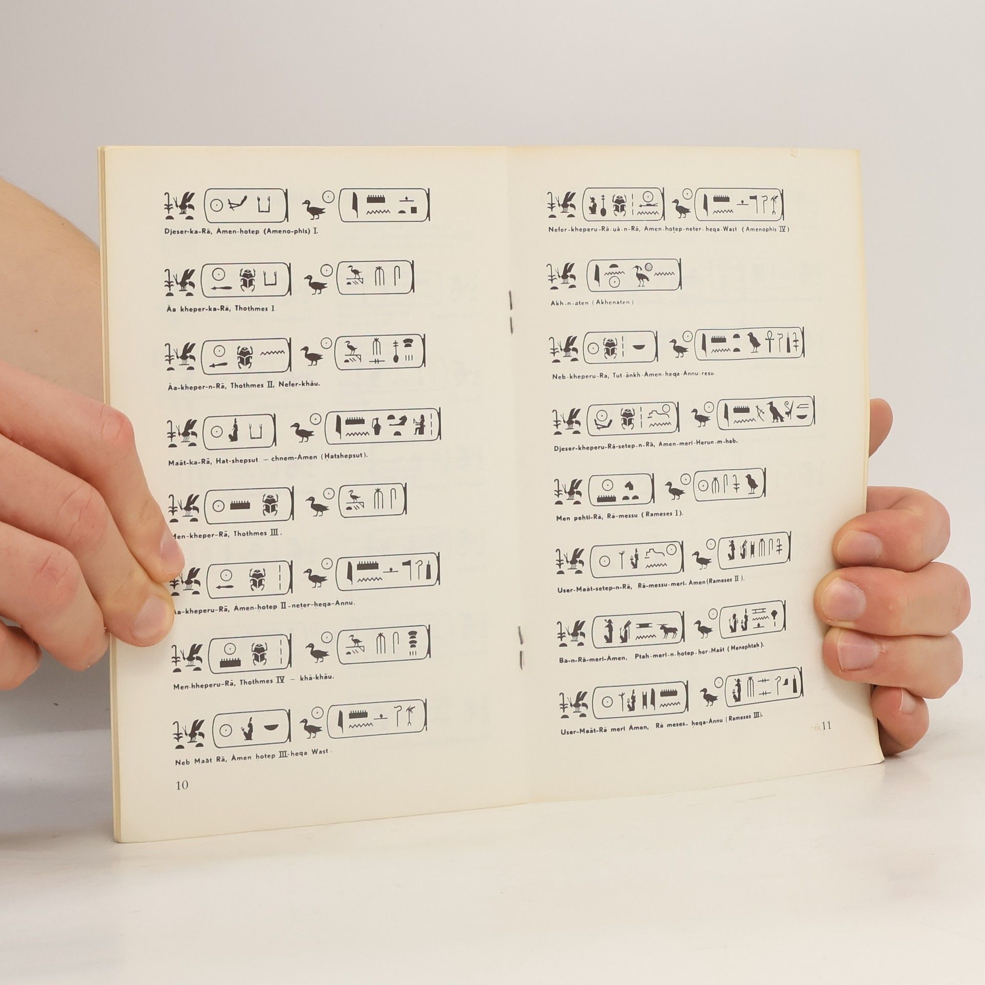 Kolektiv autorů How to Read Hieroglyphs