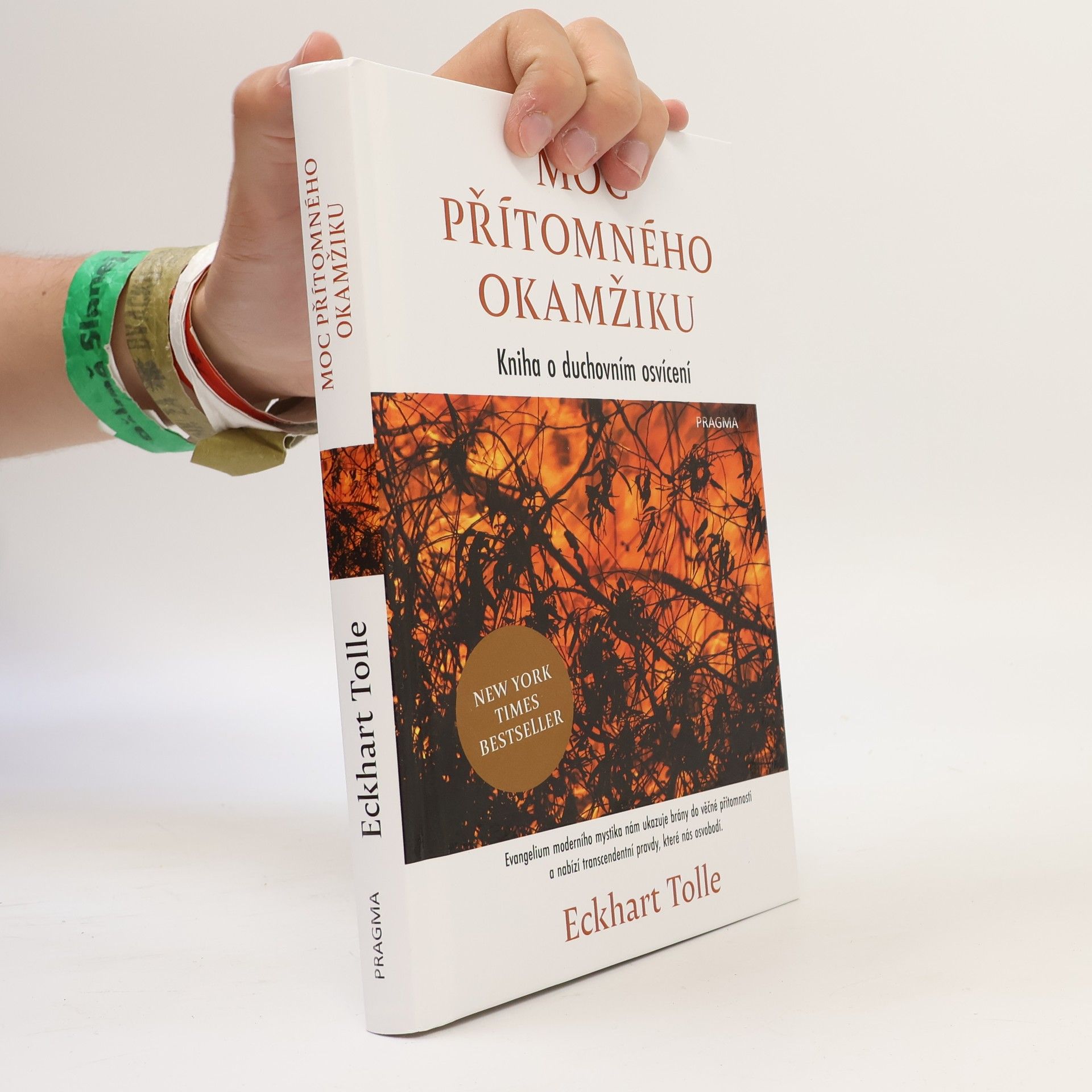 Eckhart Tolle Moc přítomného okamžiku
