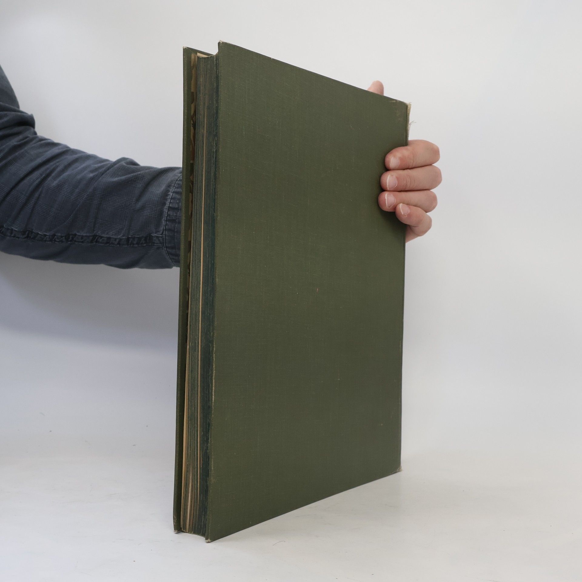 Autorenkollektiv Oesterreichs Hort