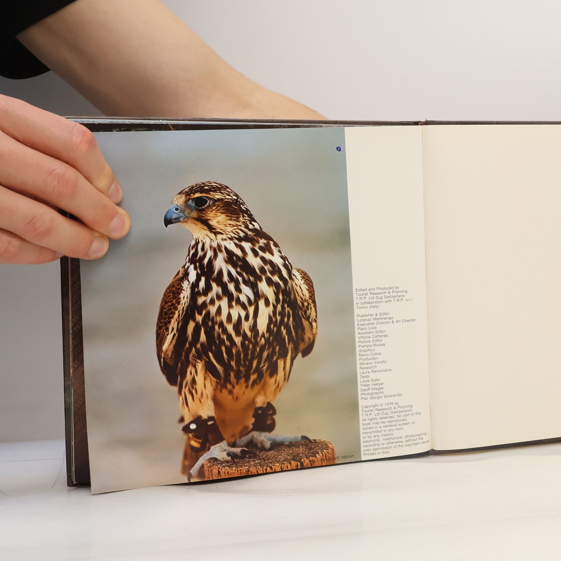 Various authors Dubai Portfolio