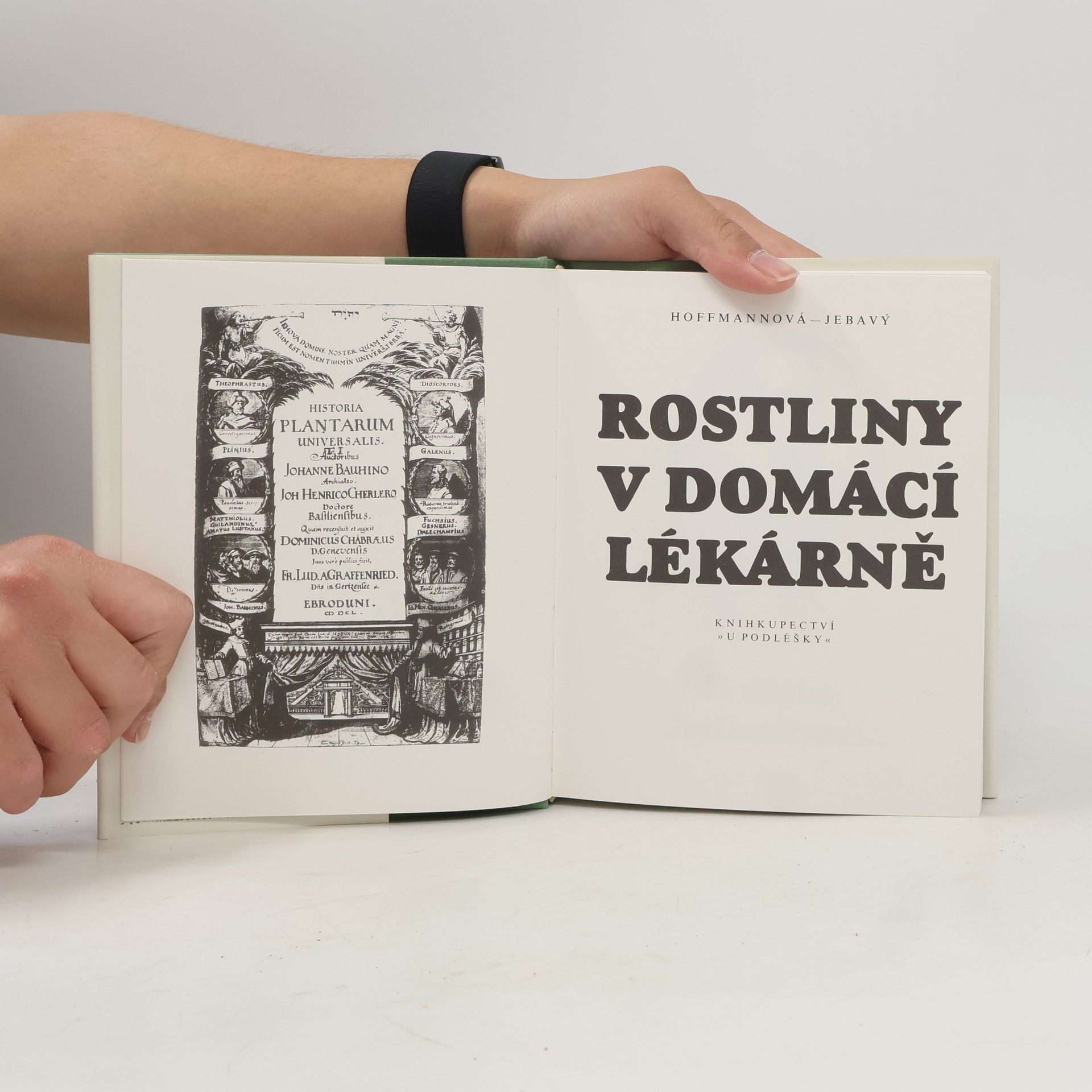 František S. Jebavý Rostliny v domácí lékárně