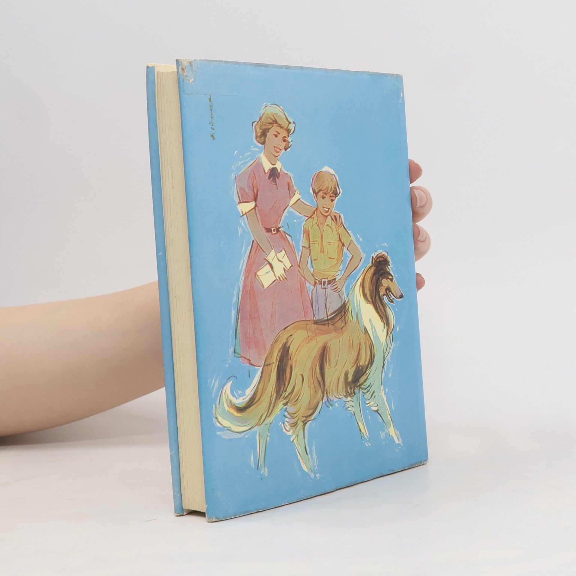 Autores varios Fernsehhund Lassie. Band 2