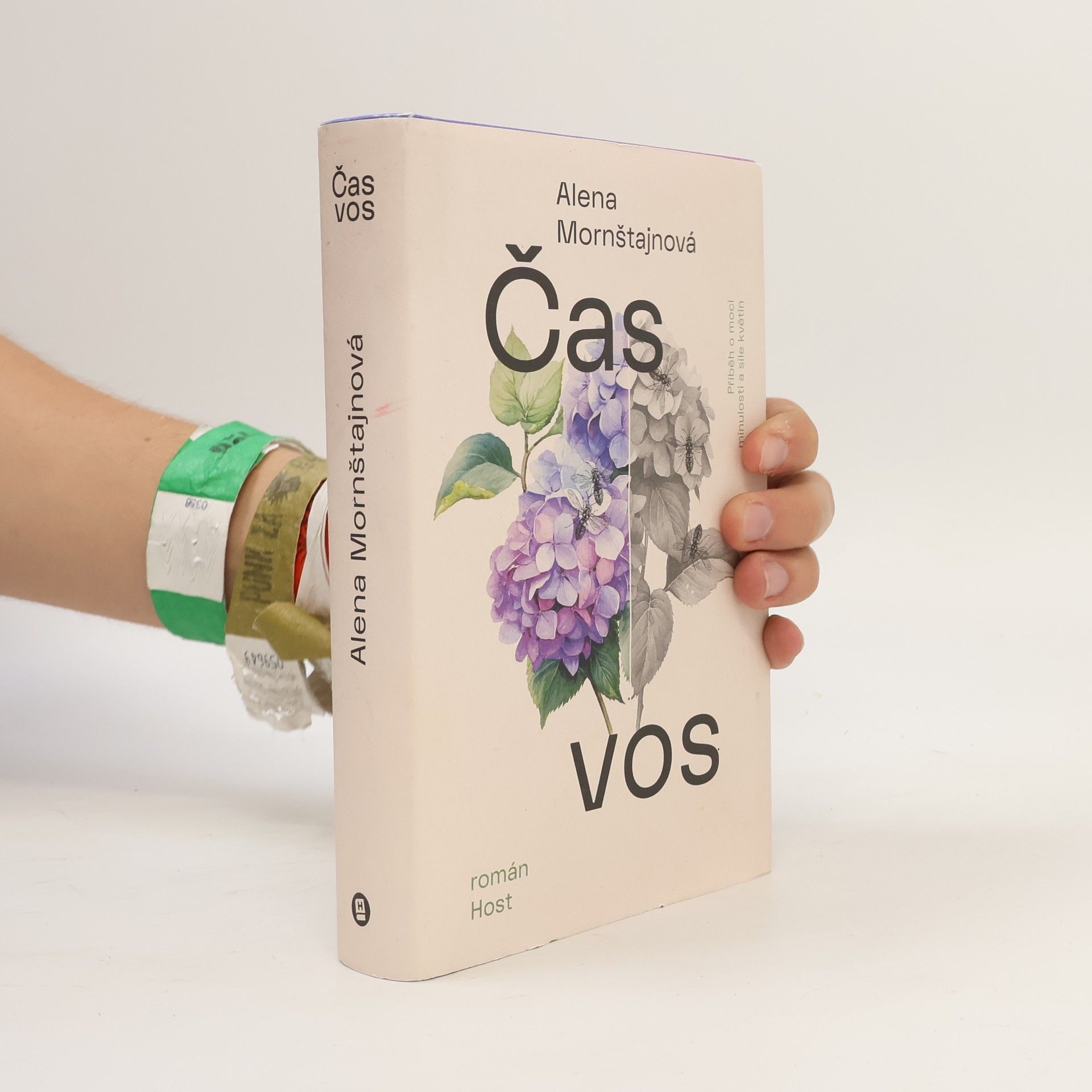 Alena Mornštajnová Čas vos