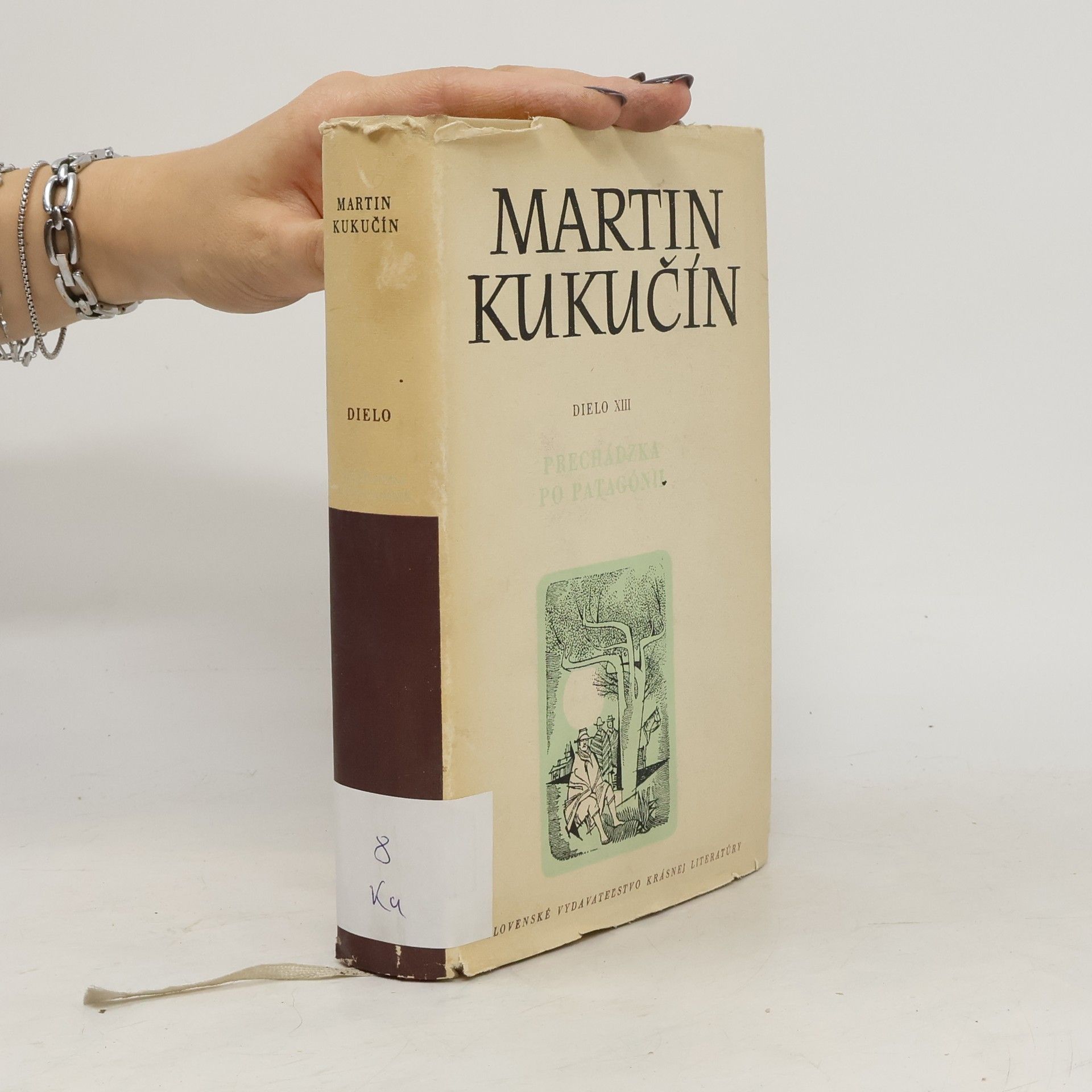 Martin Kukučín Prechádzka po patagónii III