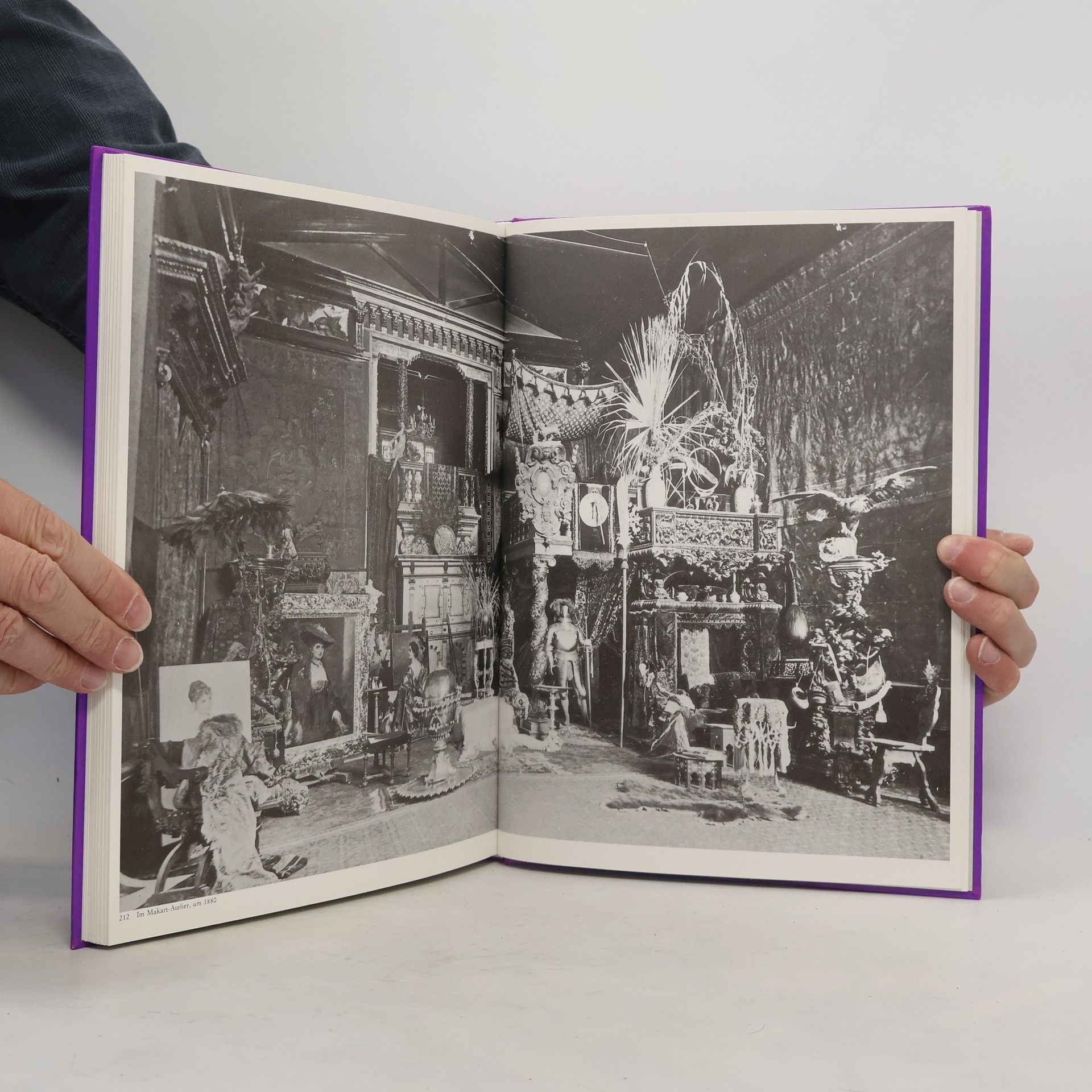 Günter Düriegl Wien auf alten Photographien
