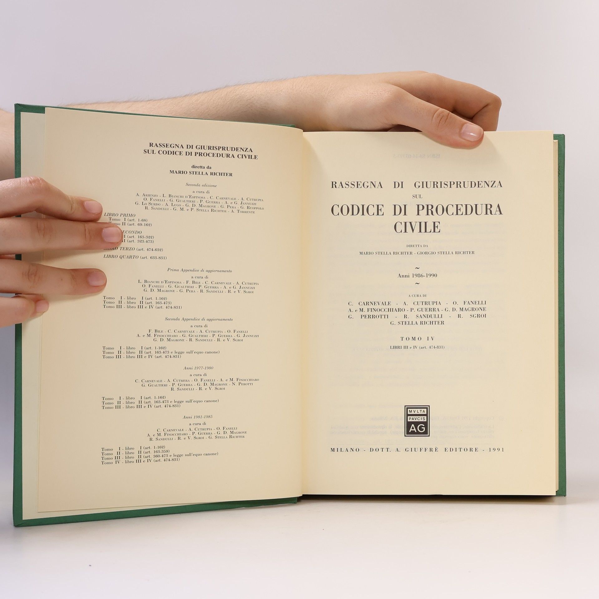 AA.VV. Rassegna di giurisprudenza sul Codice di procedura civile IV.
